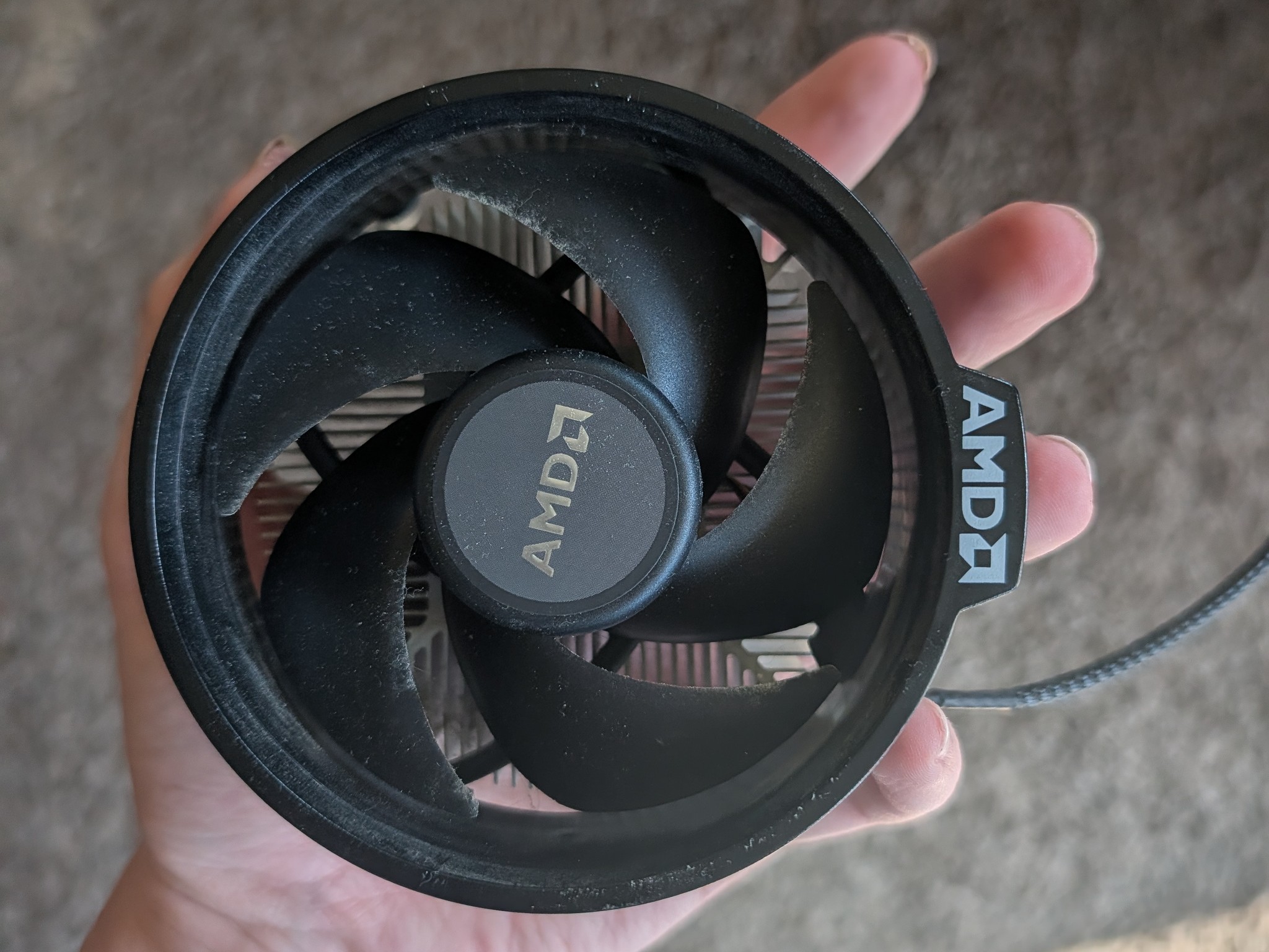 AMD Ryzen 5 3600