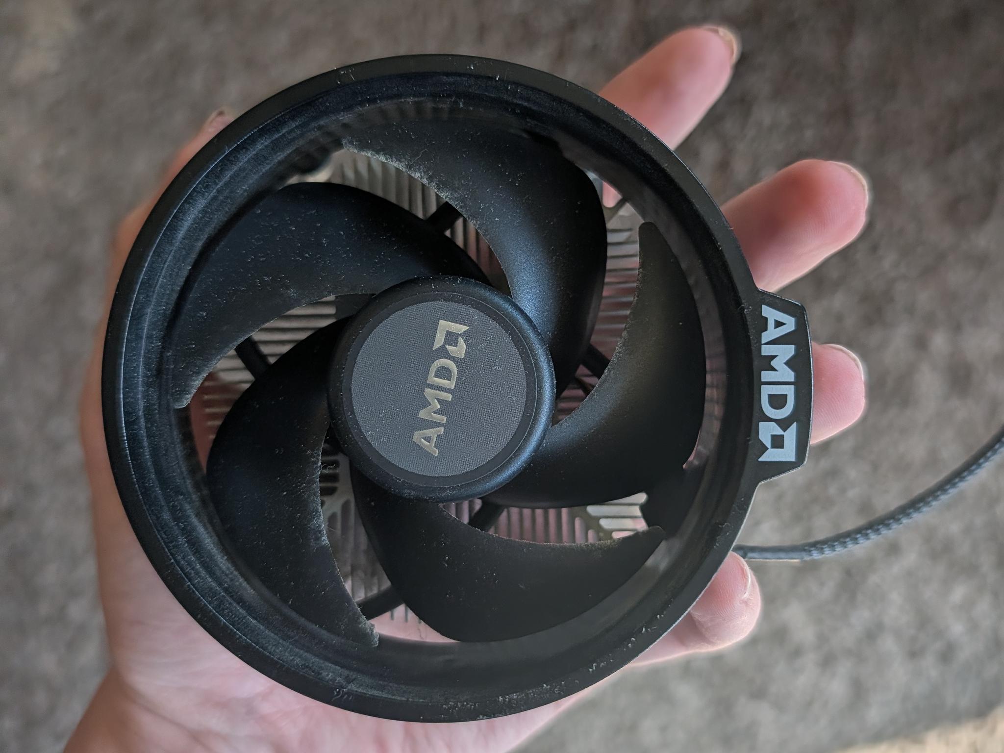 AMD Ryzen 5 3600