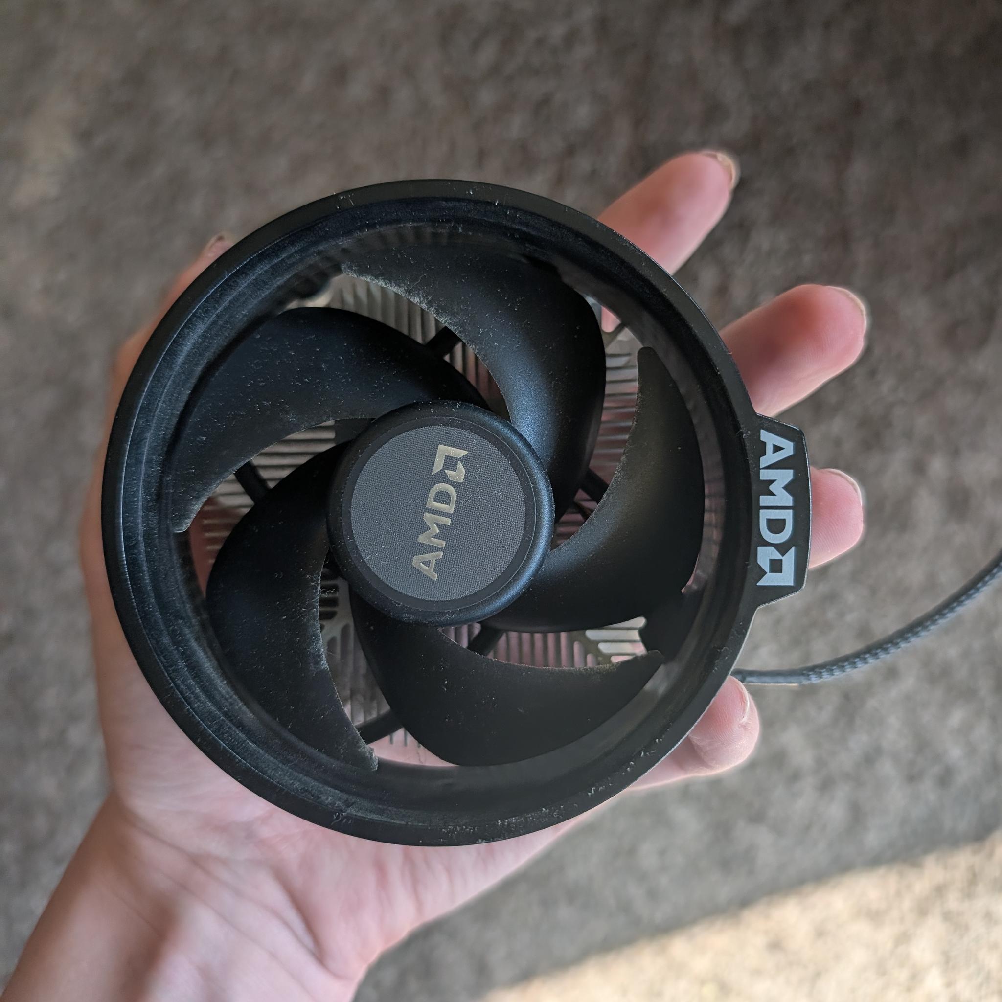 AMD Ryzen 5 3600