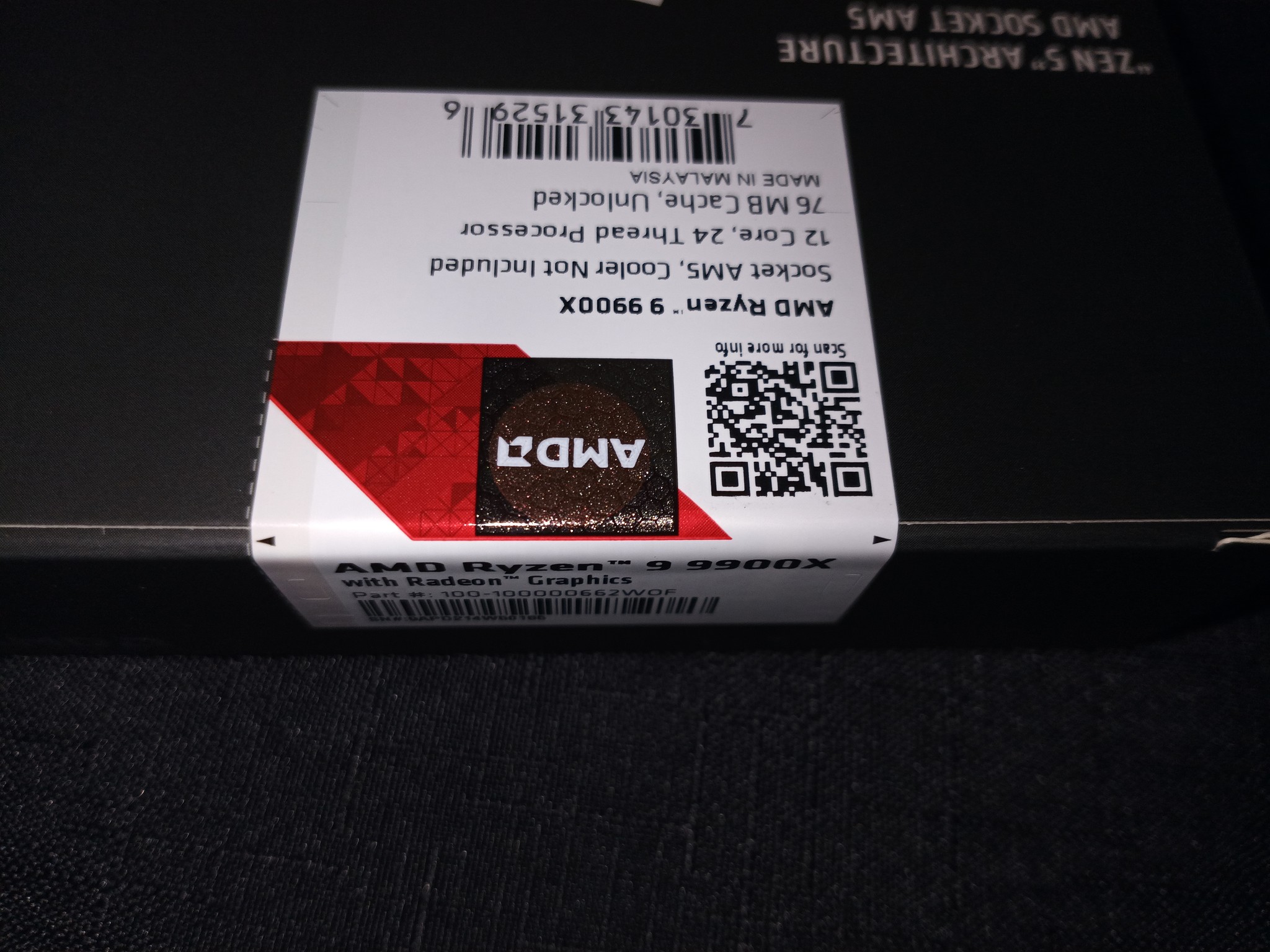 AMD Ryzen 9 9900X
