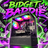 💜🔥 THE BUDGET BADDIE 🔥💜 i5 10500T| RX 580 | 16 GB DDR4| 500GB NVMe| 650W PSU