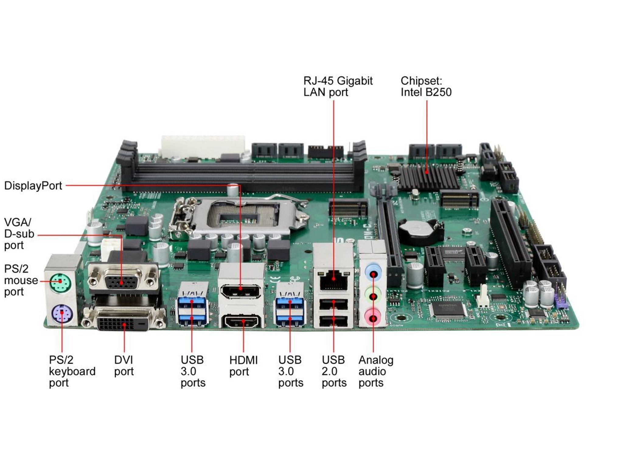 ASUS PRIME B250M-C/CSM LGA1151 DDR4 DP HDMI DVI VGA M.2 mATX Motherboard B250