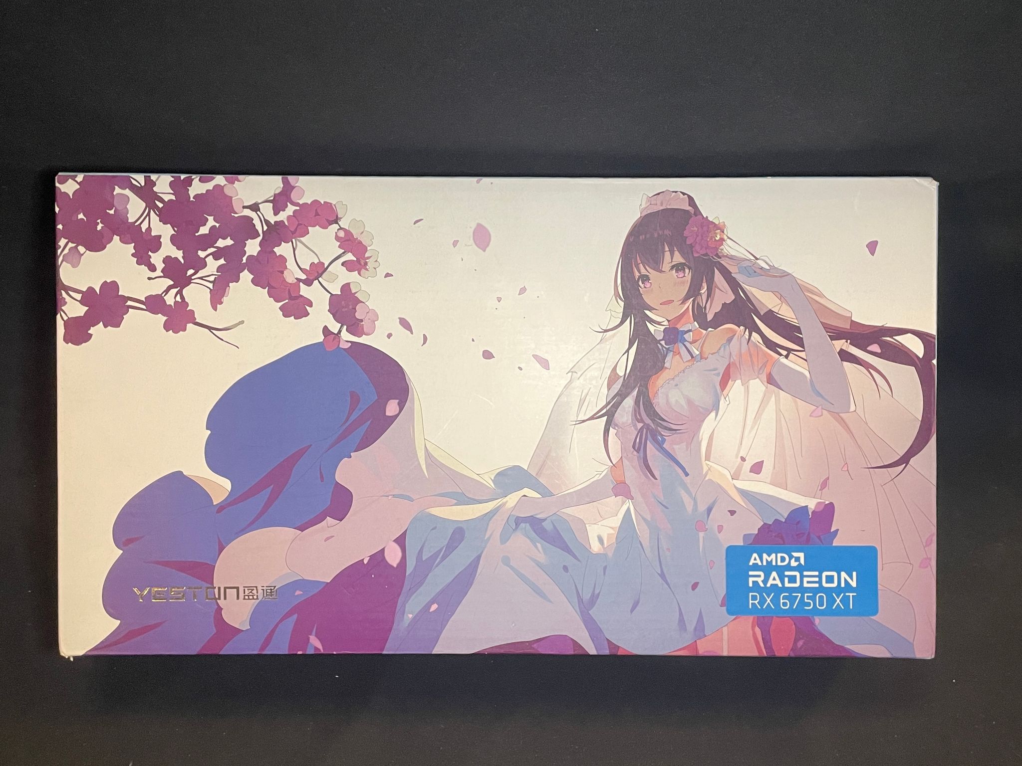 AMD Radeon RX 6750xt Limited Edition Box