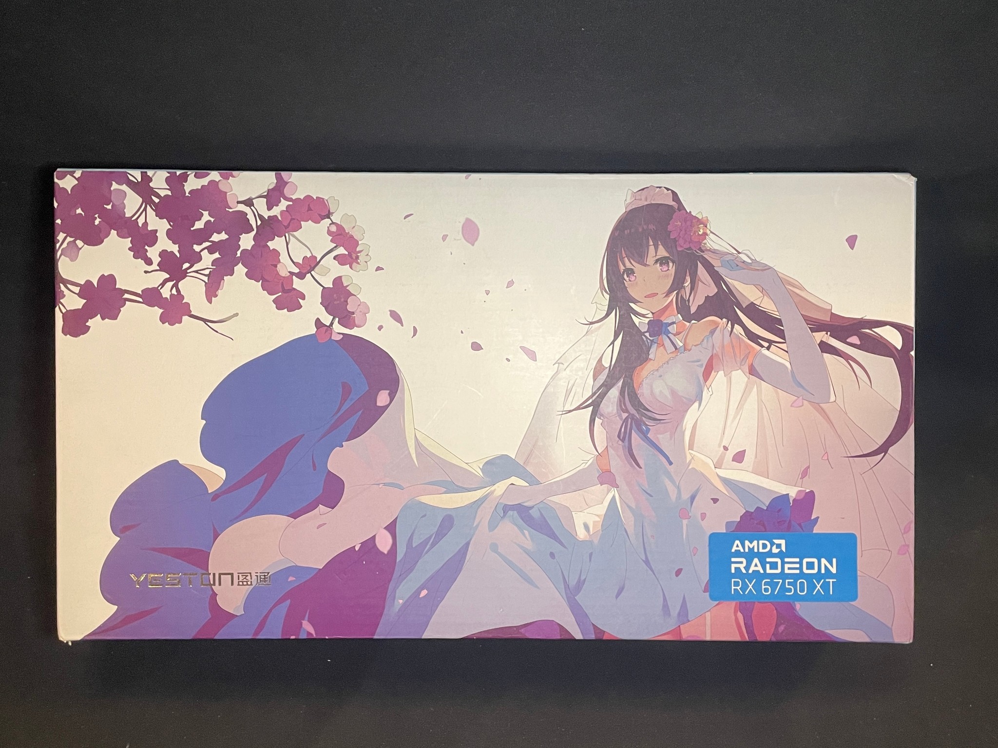 AMD Radeon RX 6750xt Limited Edition Box