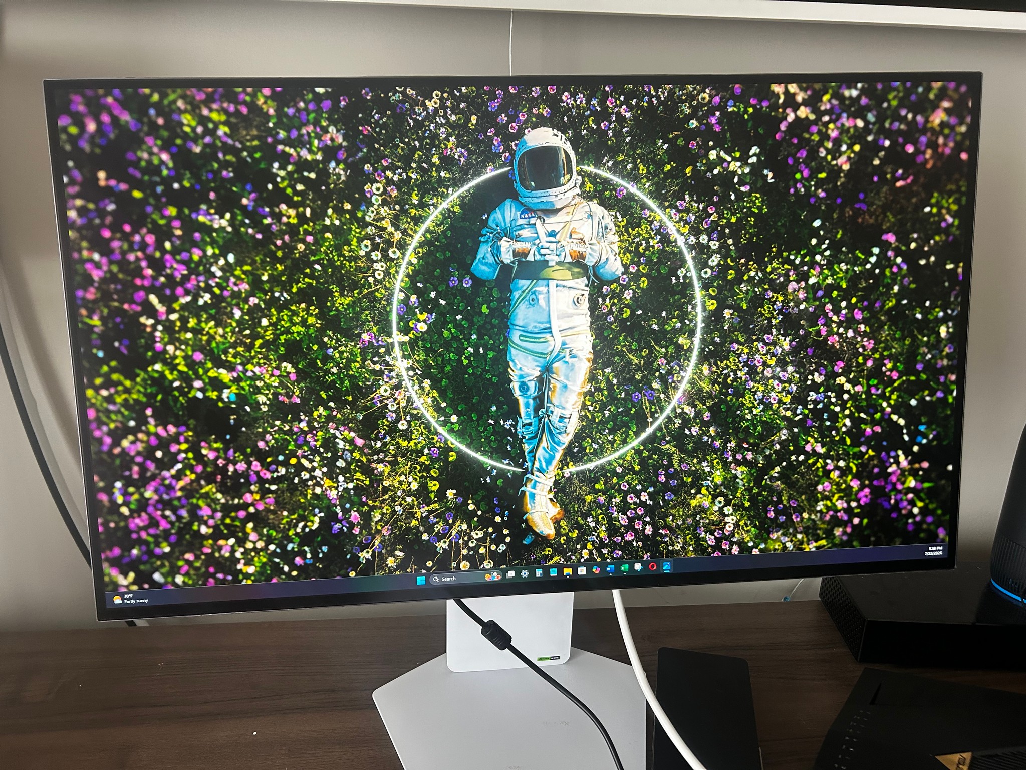 ALL WHITE LG UltraGear  32" 4K UHD (3840 x 2160) 240Hz Gaming Monitor (32GS95UV-W)