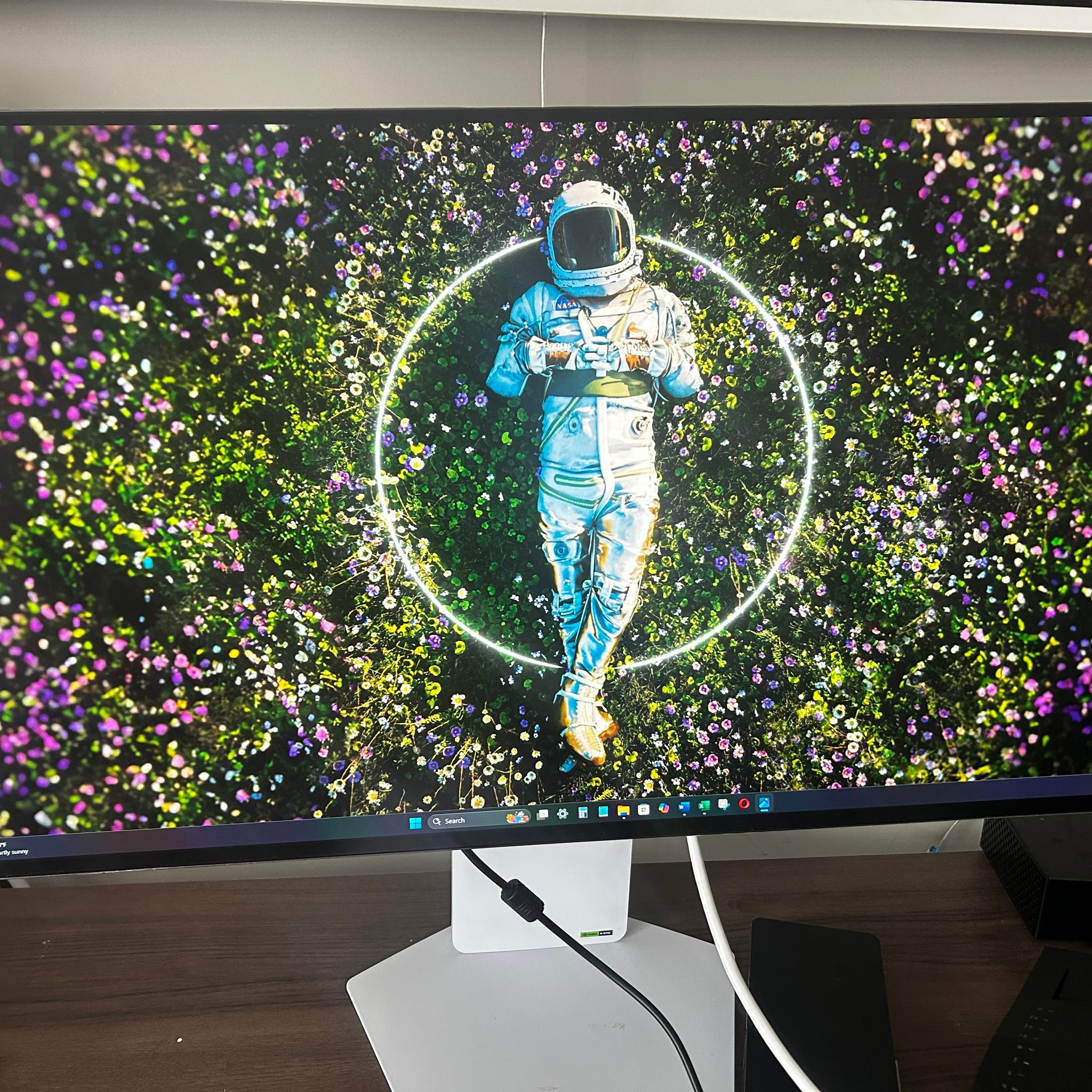 ALL WHITE LG UltraGear  32" 4K UHD (3840 x 2160) 240Hz Gaming Monitor (32GS95UV-W)
