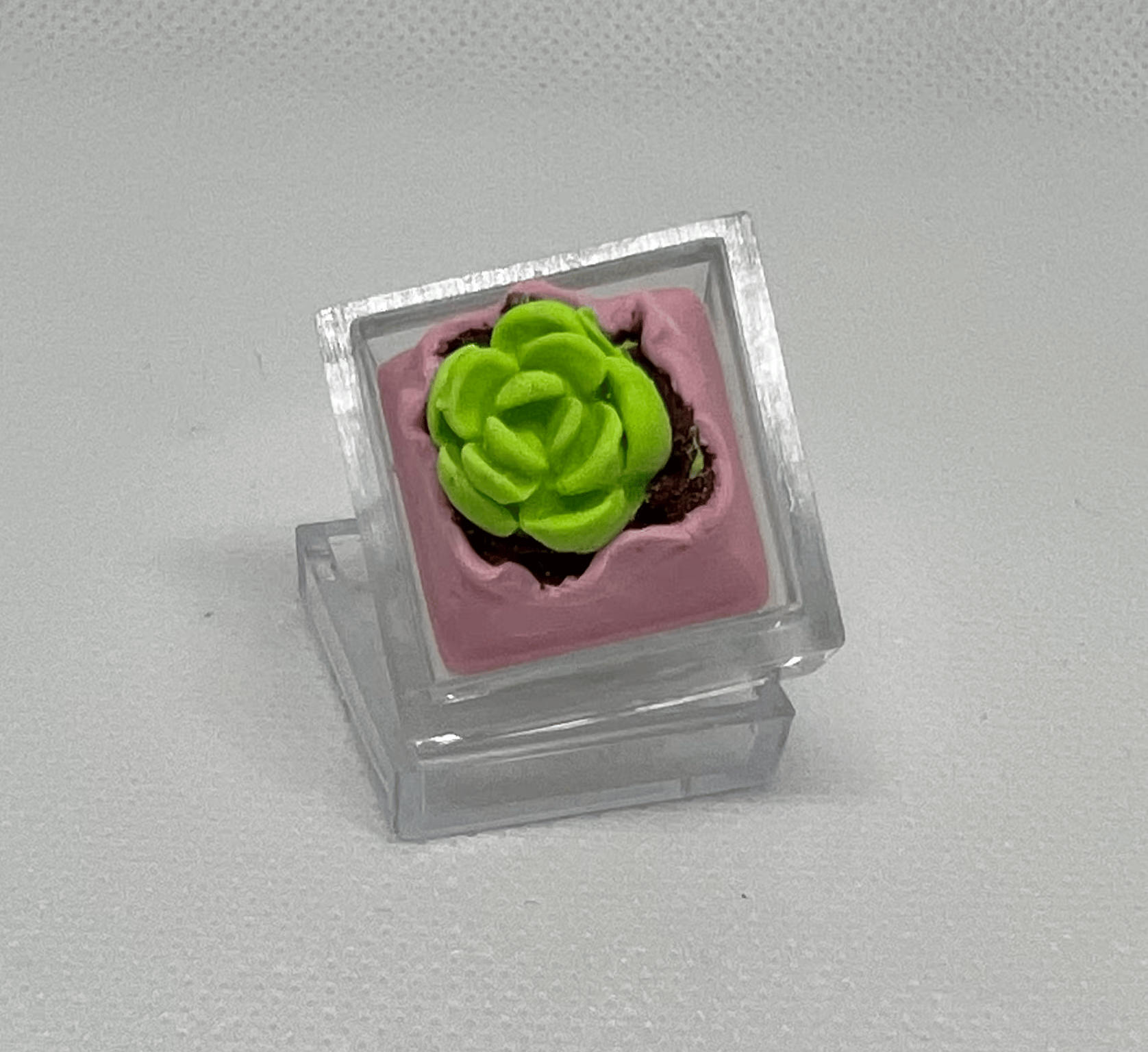 DOLLAR KEYCAPS!! *Fresh Greenery*