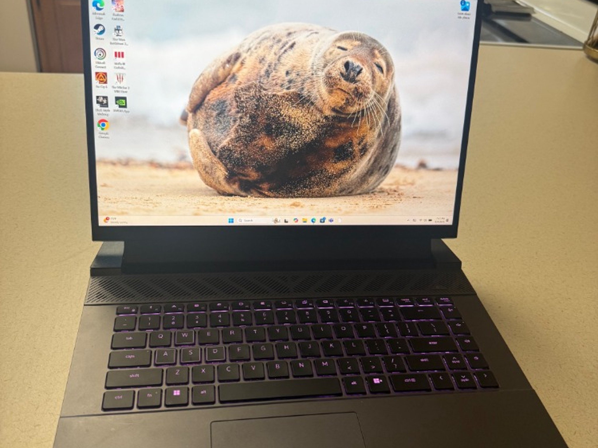 Dell G16 7630 Gaming Laptop - i9-13900HX - RTX 4060 - 32GB DDR5 - 1TB SSD
