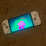 Nintendo Switch OLED RP2040 PICOFLY w/ Hori Split Pad Pro, Charger and 512gb sd card