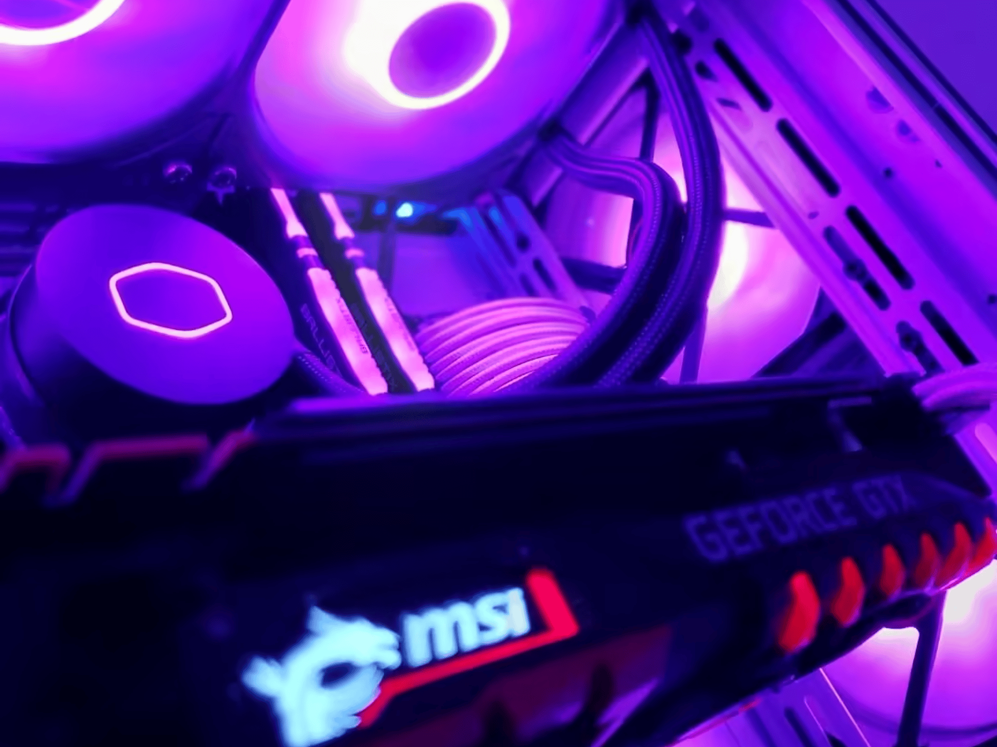 "Socotra" | i5 10400f - GTX 1080ti