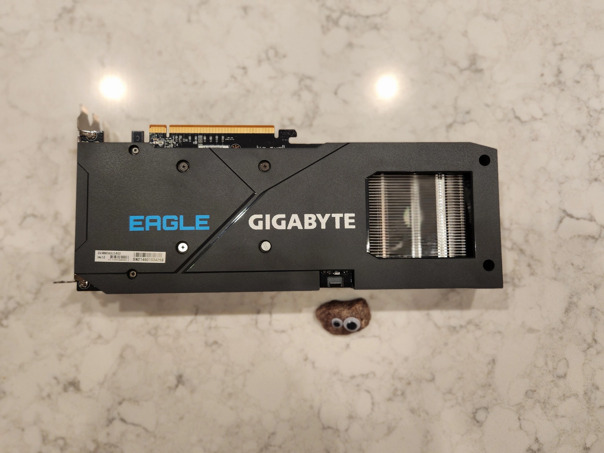 RX 6600 8GB (Gigabyte Eagle) - Used