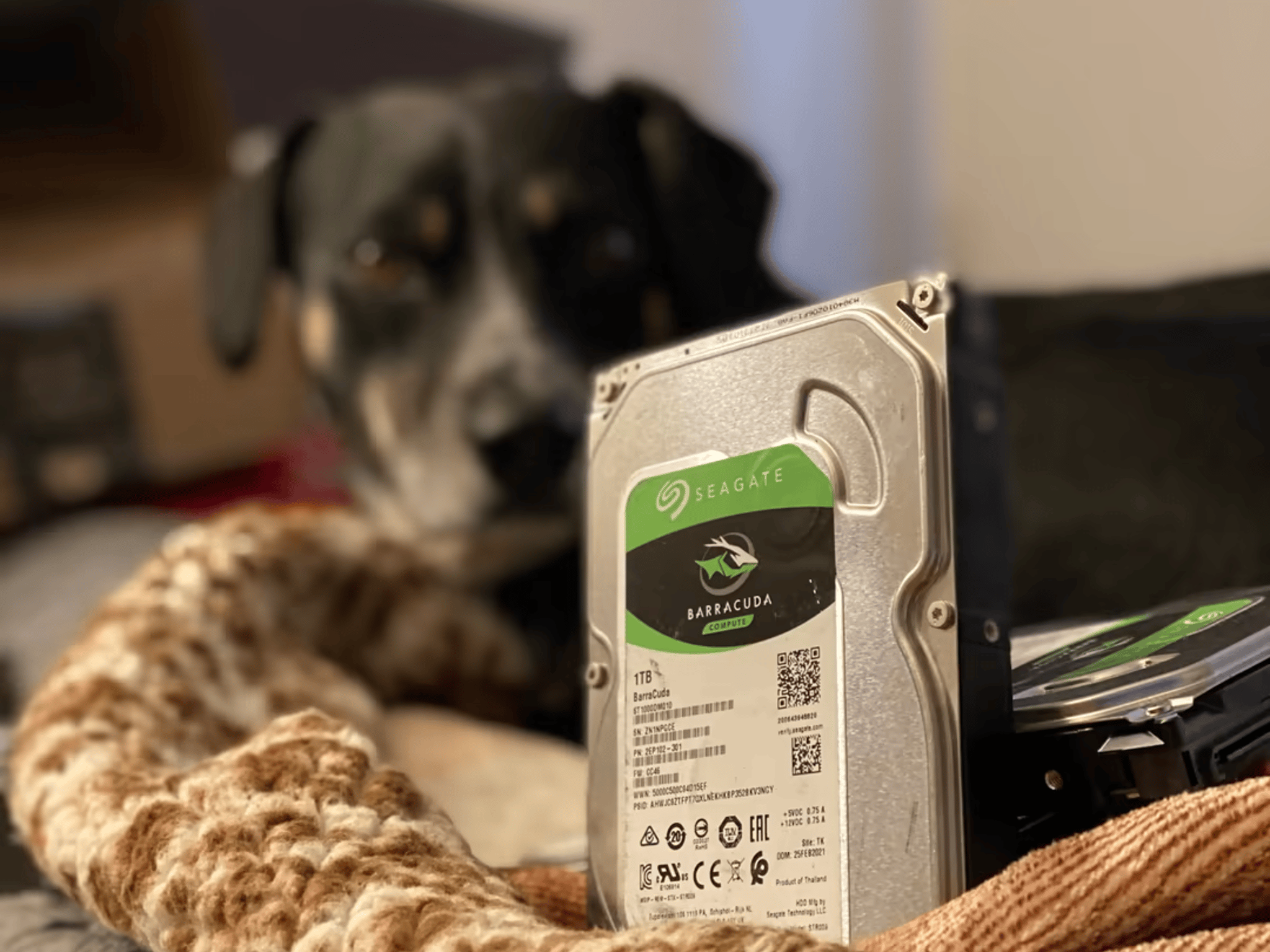 5 Seagate Barracuda Compute 1TB HDDs 7200 RPM 
