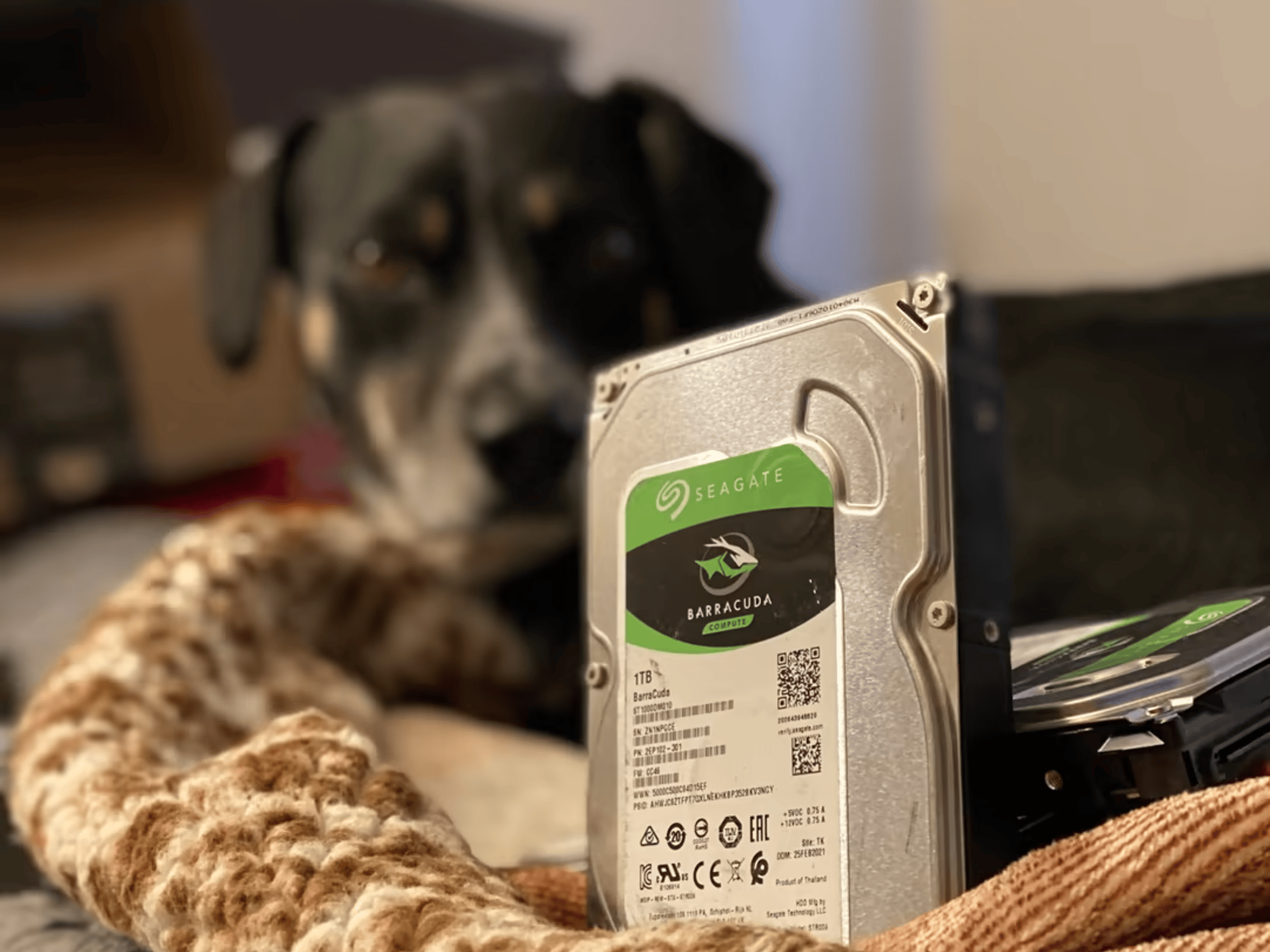 5 Seagate Barracuda Compute 1TB HDDs 7200 RPM 