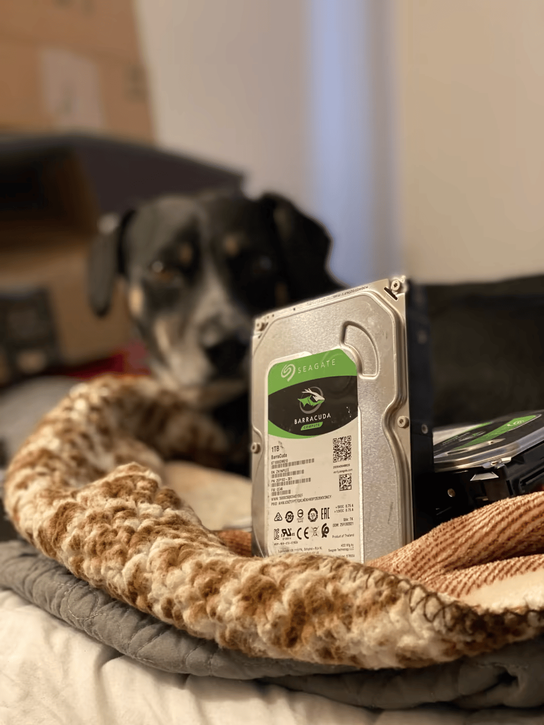 5 Seagate Barracuda Compute 1TB HDDs 7200 RPM 