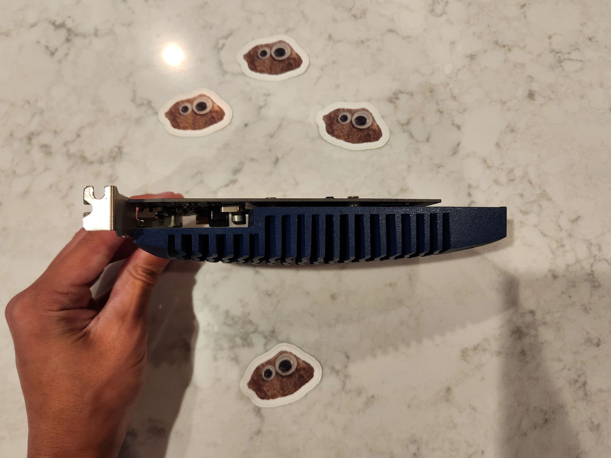 An Incredibly Suspicious and Wildly Chinese GT 710 1GB - Used