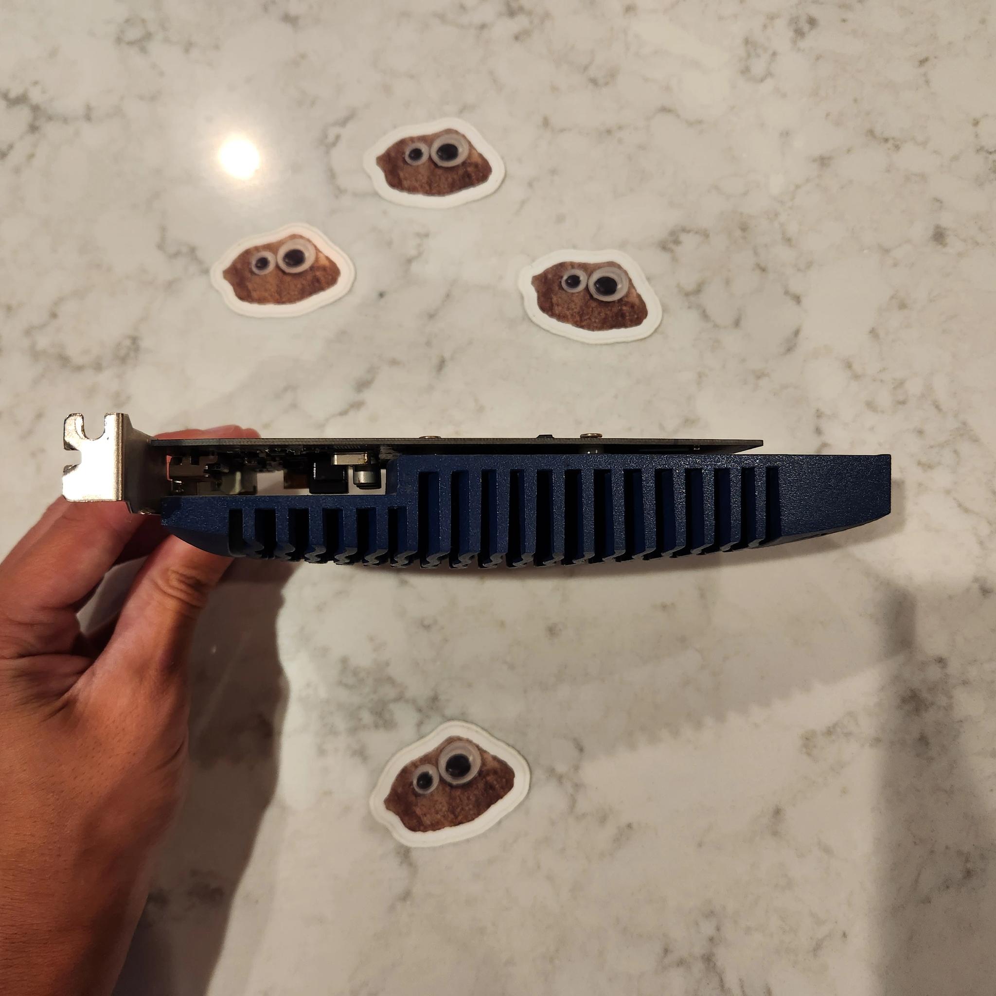 An Incredibly Suspicious and Wildly Chinese GT 710 1GB - Used