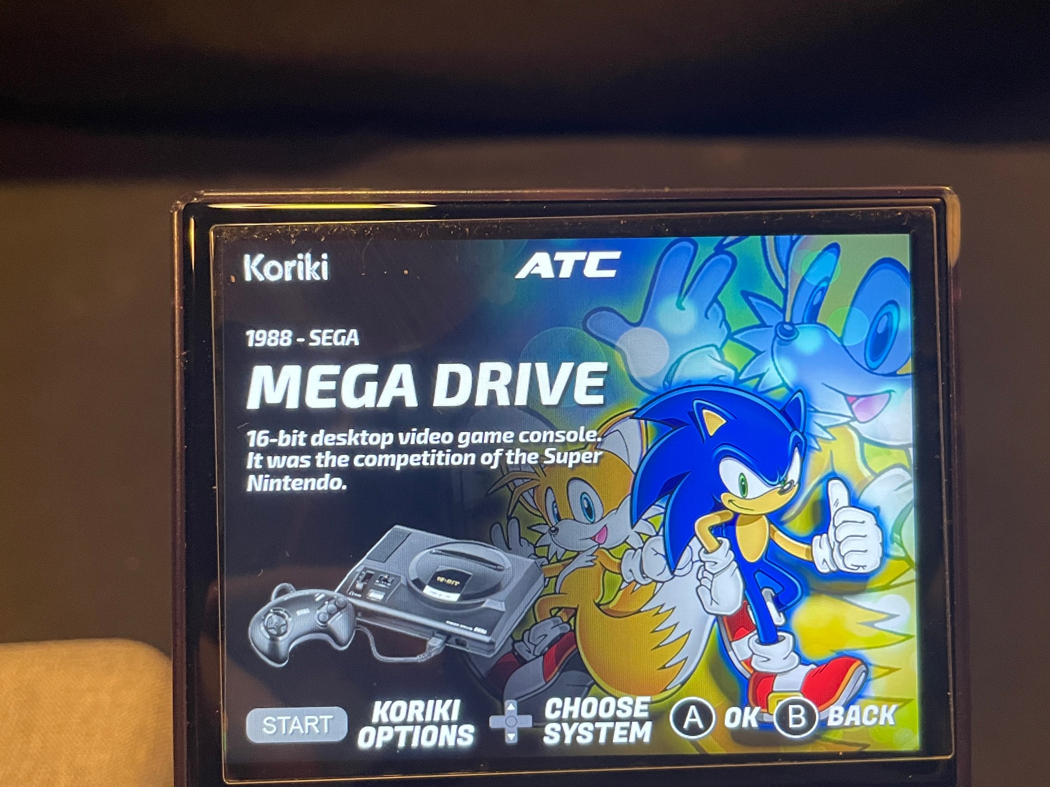 Ambernic Handheld Customized Koriki OS With Accessories