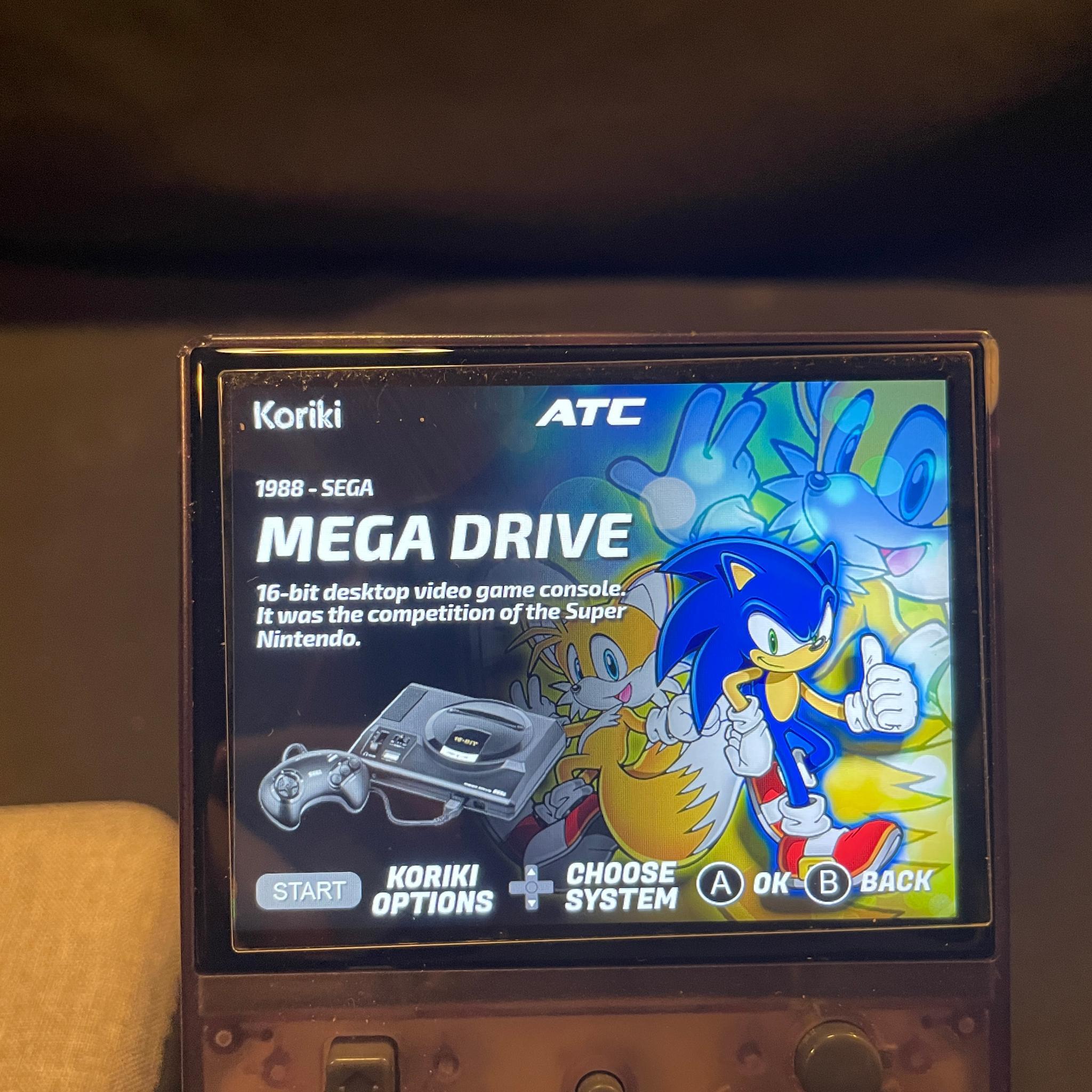 Ambernic Handheld Customized Koriki OS With Accessories