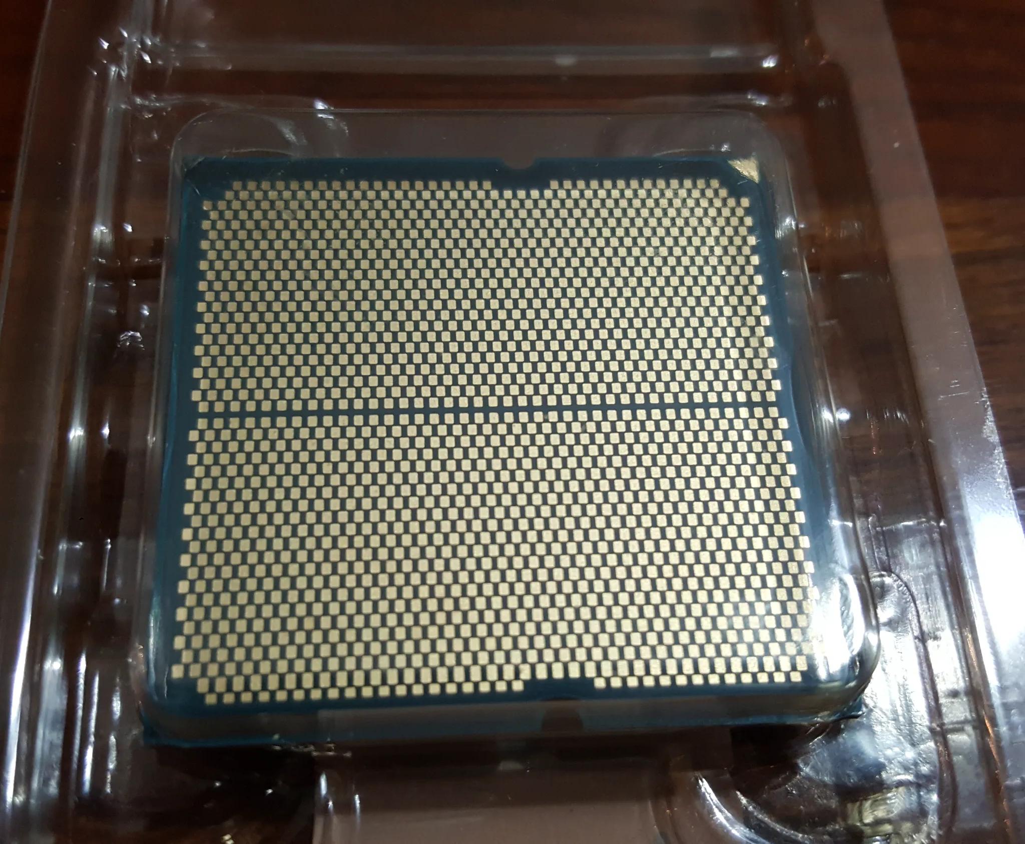 AMD RYZEN 5 8500G CPU (COOLER INCLUDED) AM5 with Integrated Graphics