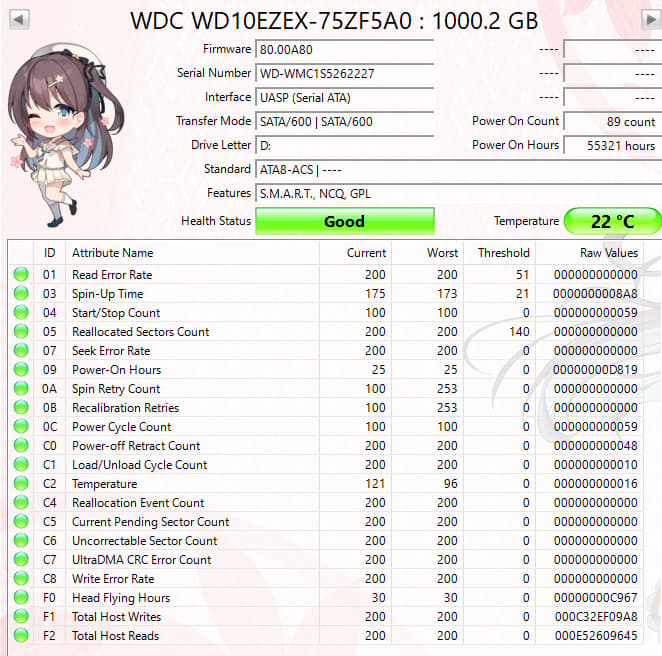 WD Blue 1TB 7200RPM SATA Hard Drive | Tested & Healthy