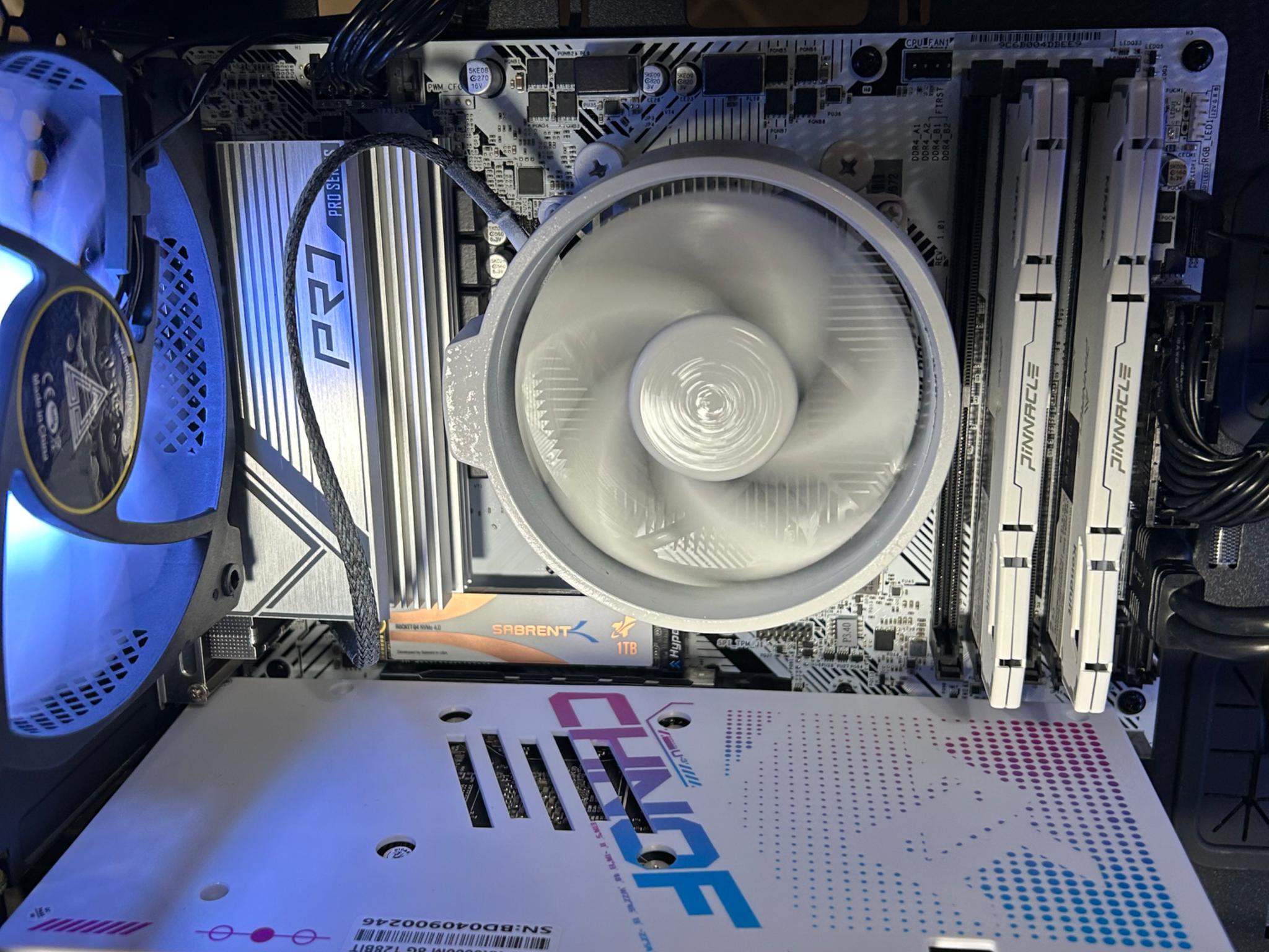 Black and White - Budget Buddy