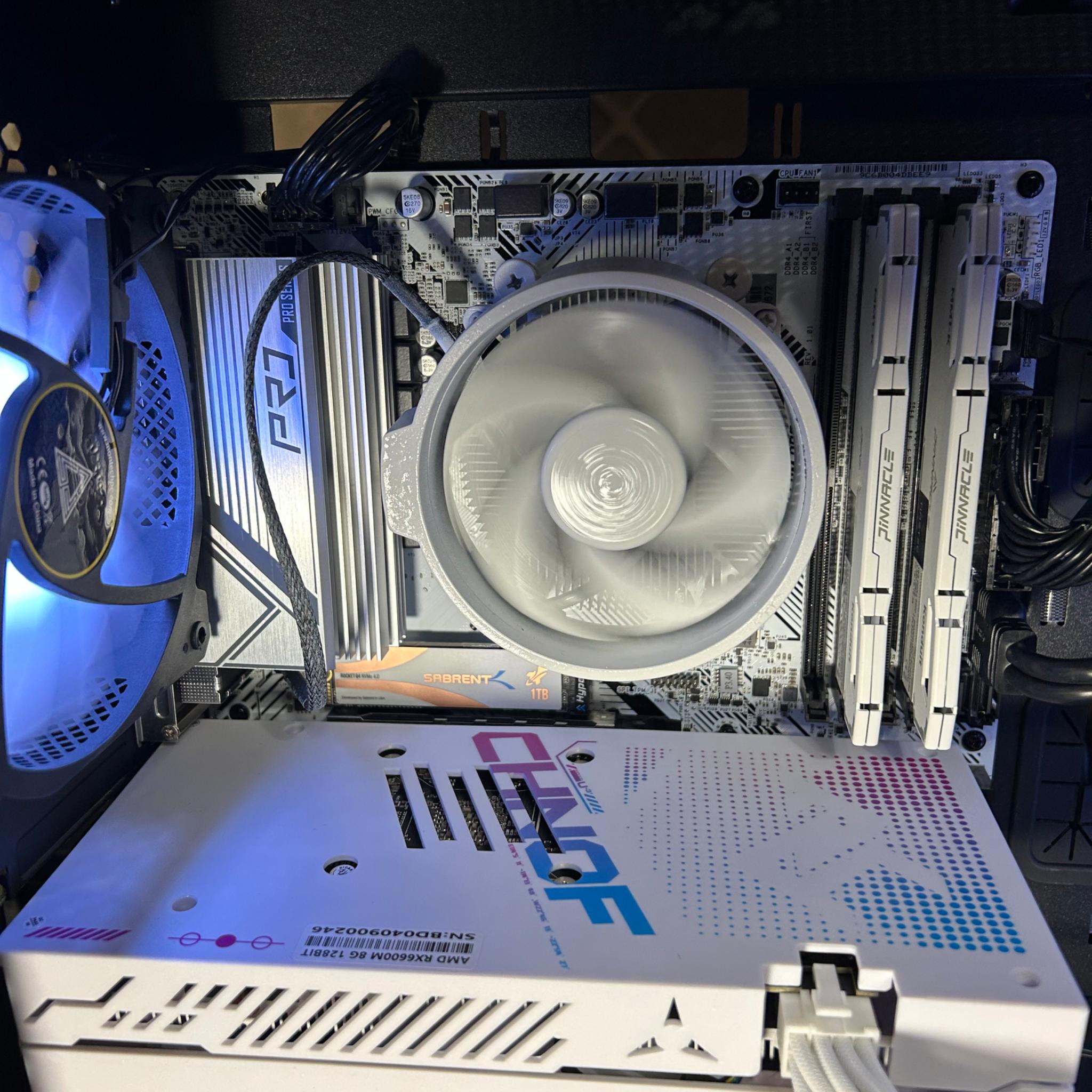 Black and White - Budget Buddy