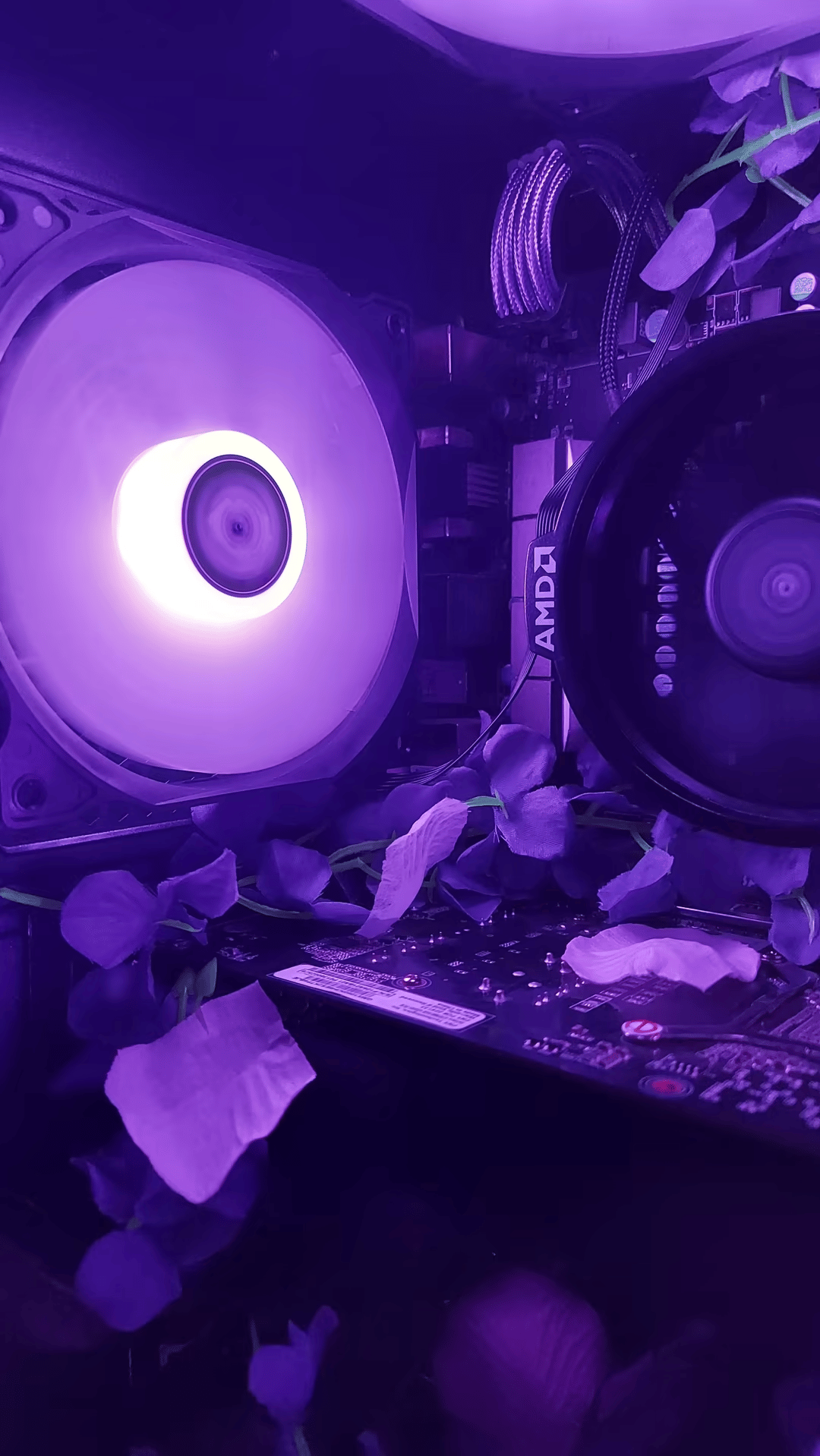 "Mewtwo" Gaming PC - Ryzen 5 2600x, GTX 1060 6gb, 16gb RAM