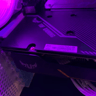Asus Tuf 1650 4gb