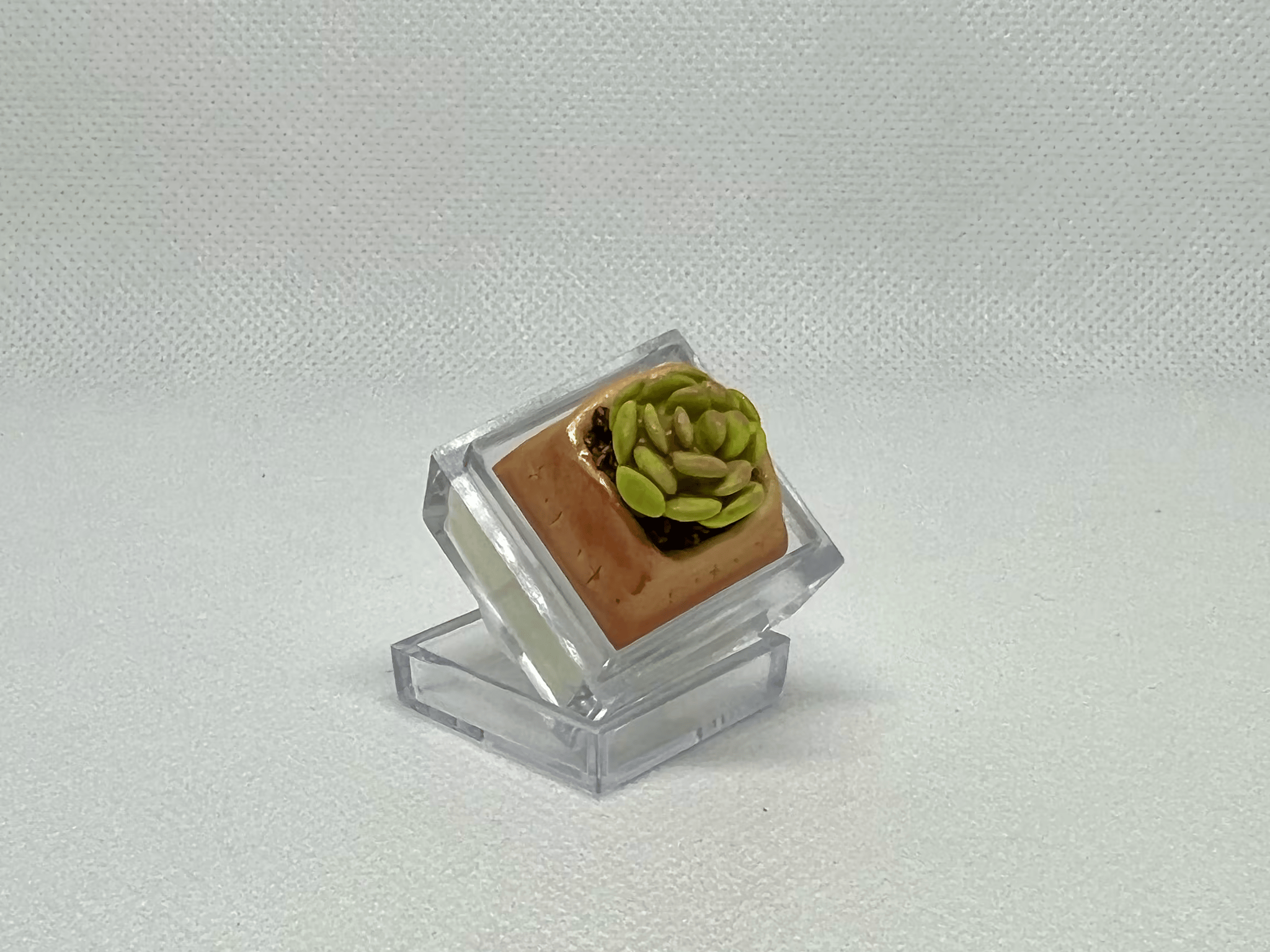 DOLLAR KEYCAPS!! *So Cute Lent^