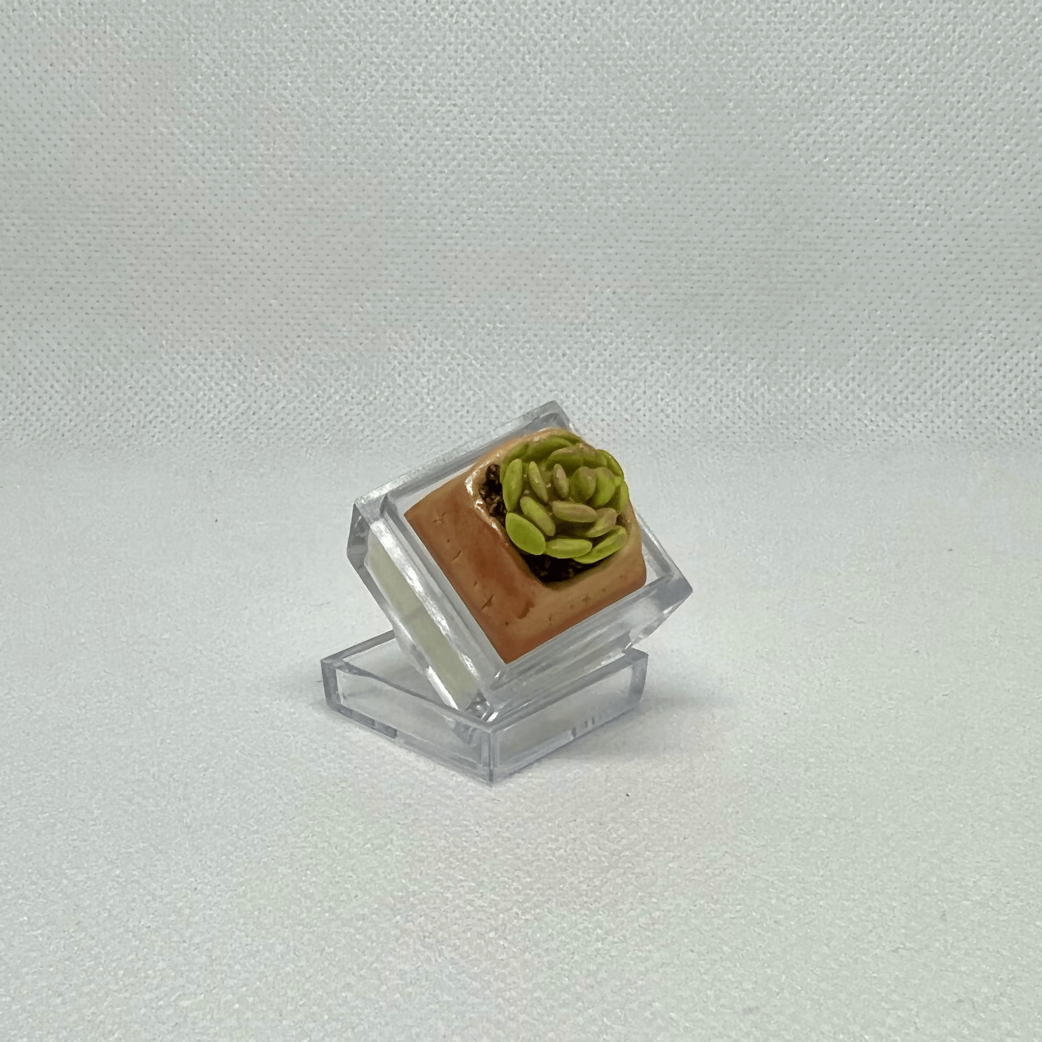 DOLLAR KEYCAPS!! *So Cute Lent^