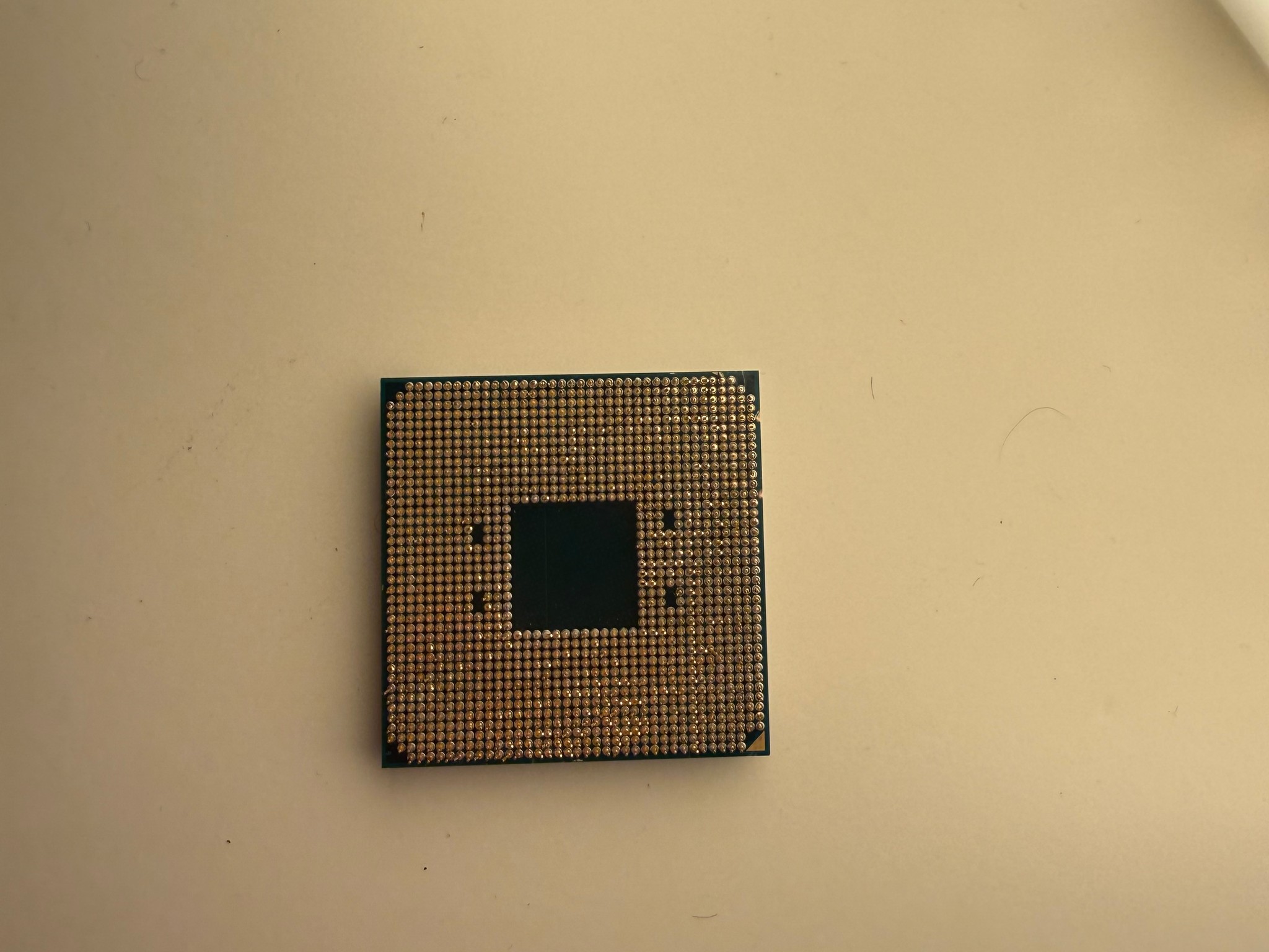 AMD Ryzen 5 5600X