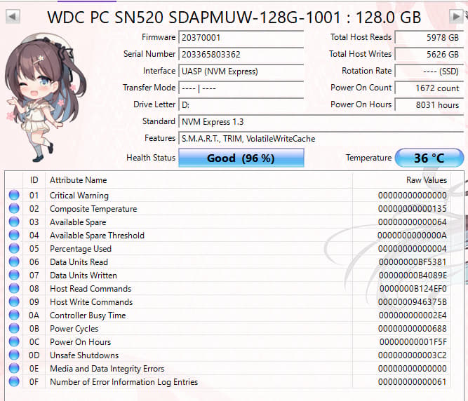 WD SN520 128GB NVMe SSD Tested Working 96% Health