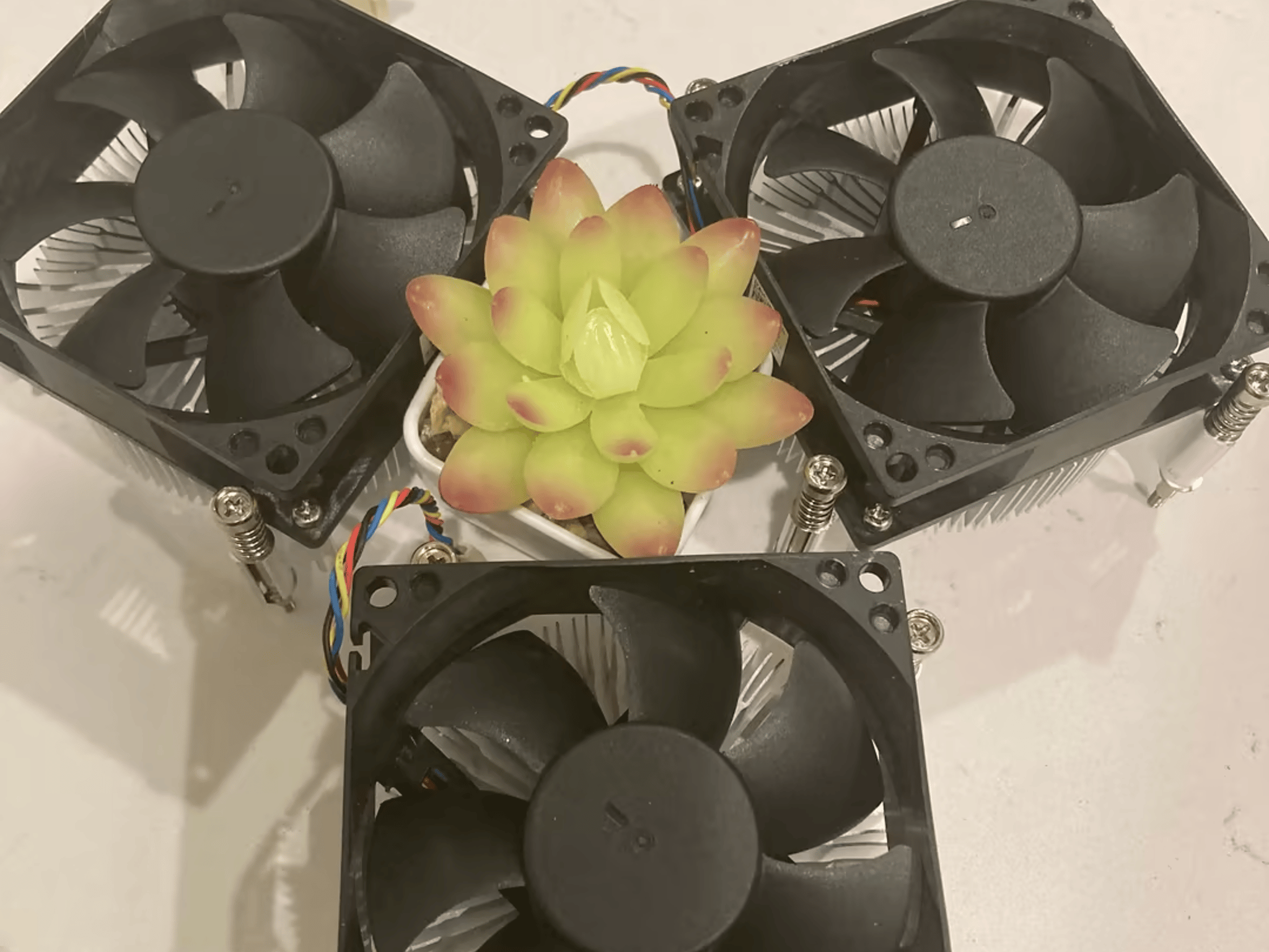 (Retirement Sale!) Lga 1151 and 1200 Dell Oem Cpu Cooler! 