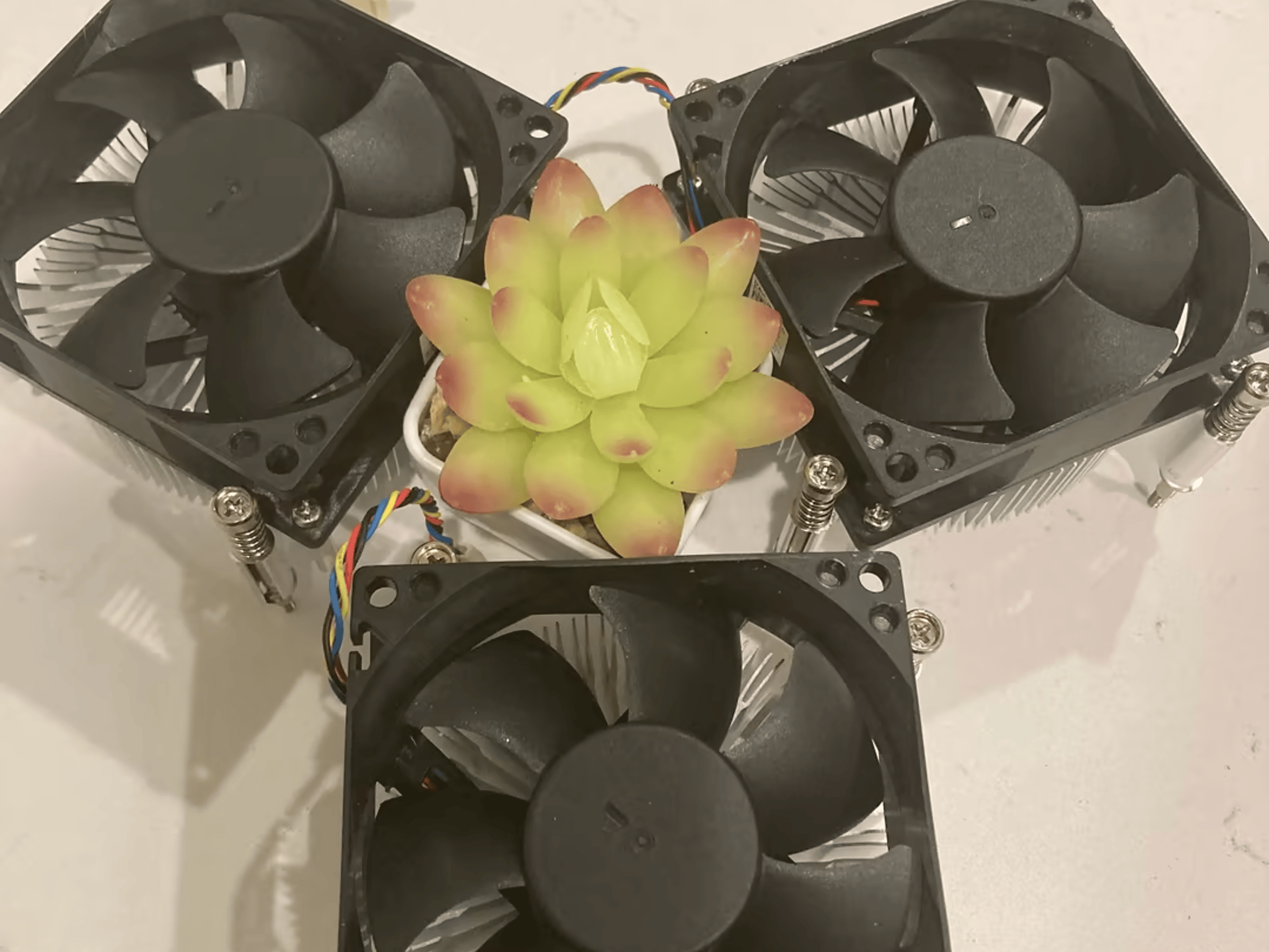 (Retirement Sale!) Lga 1151 and 1200 Dell Oem Cpu Cooler! 