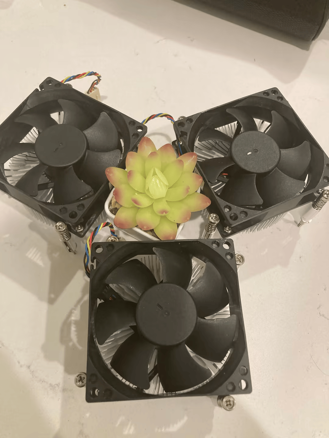 (Retirement Sale!) Lga 1151 and 1200 Dell Oem Cpu Cooler! 