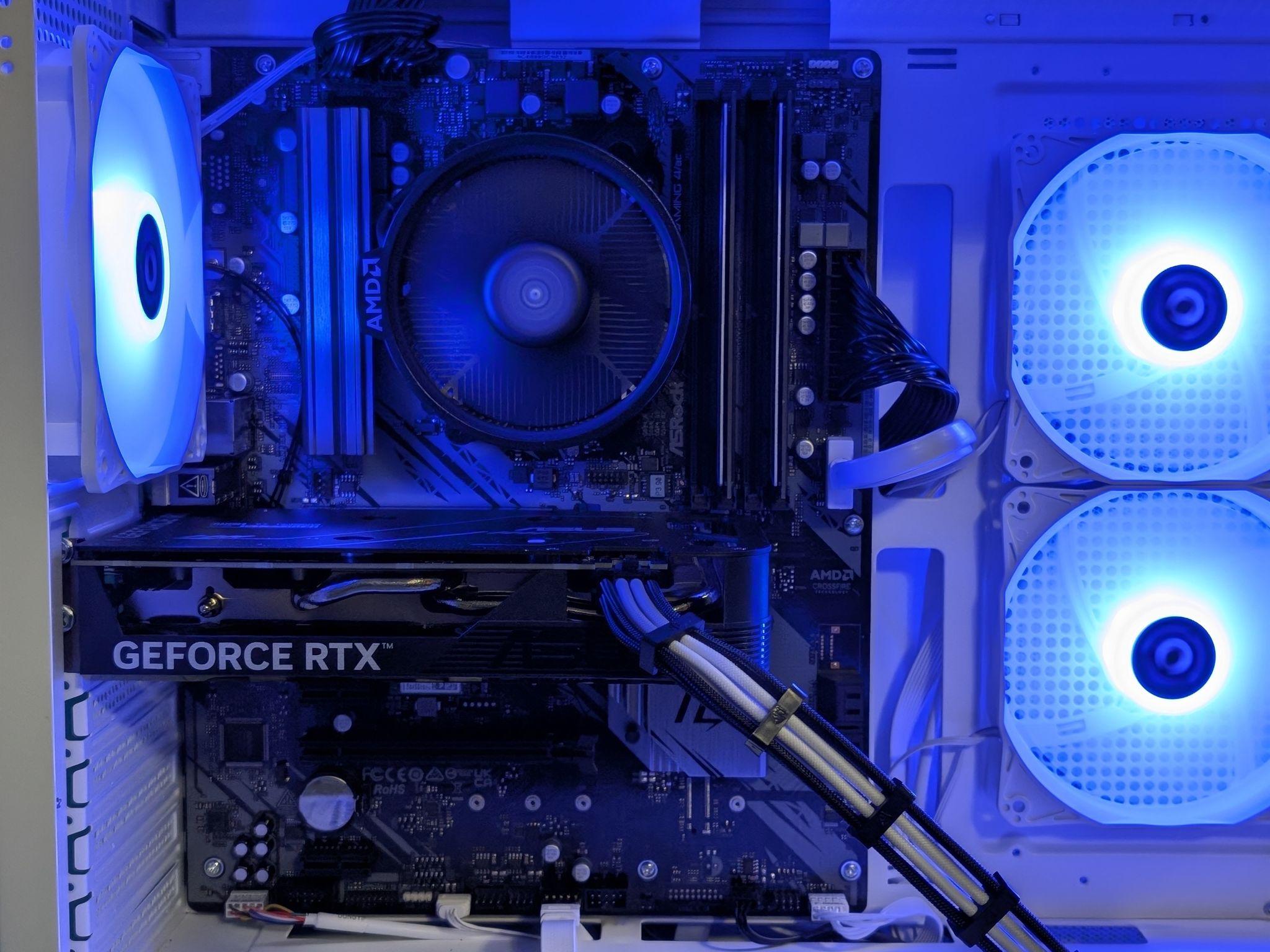 The Panda | RTX 4060 | Ryzen 5 5500 | 16GB RAM | NVMe SSD