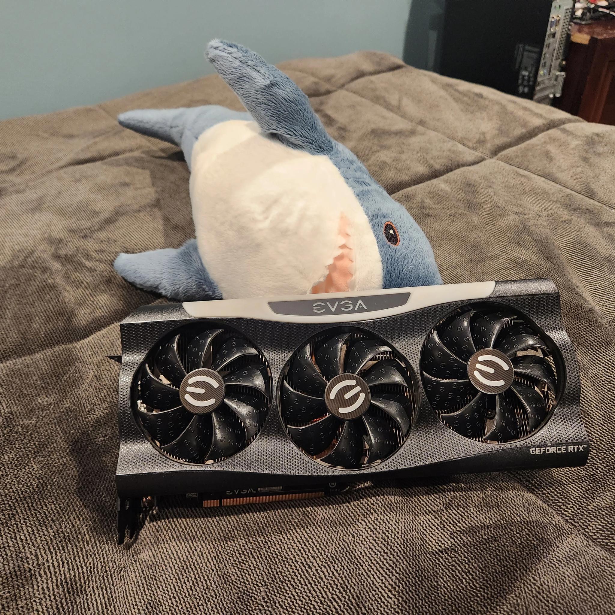 EVGA FTW3 RTX 3070 8GB