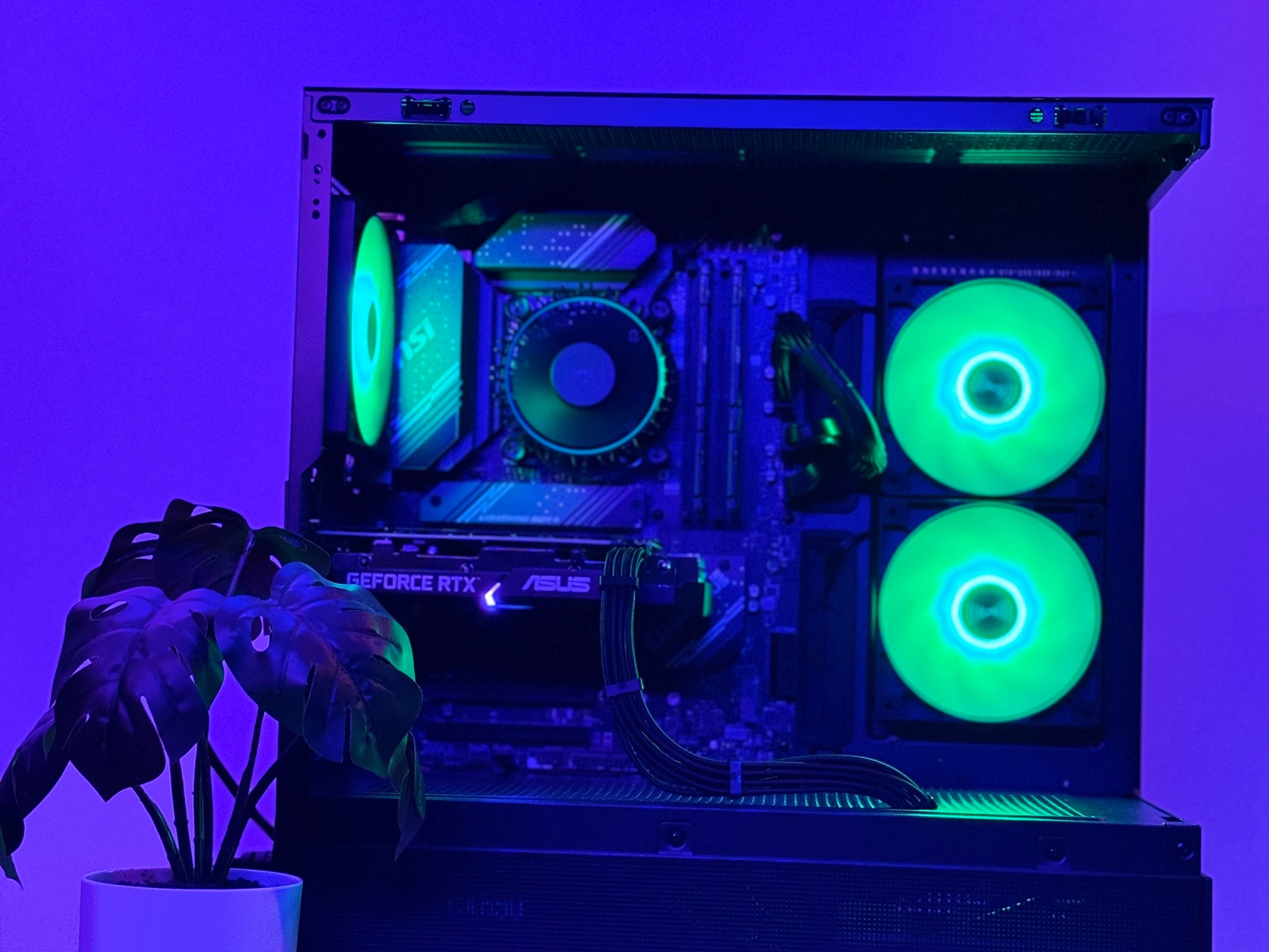 The 1440p Gaming YouTuber | Asus 3060 OC 12GB VRAM, i5-12400F, 16GB DDR5, 1TB m.2, Corsair PSU, WiFi