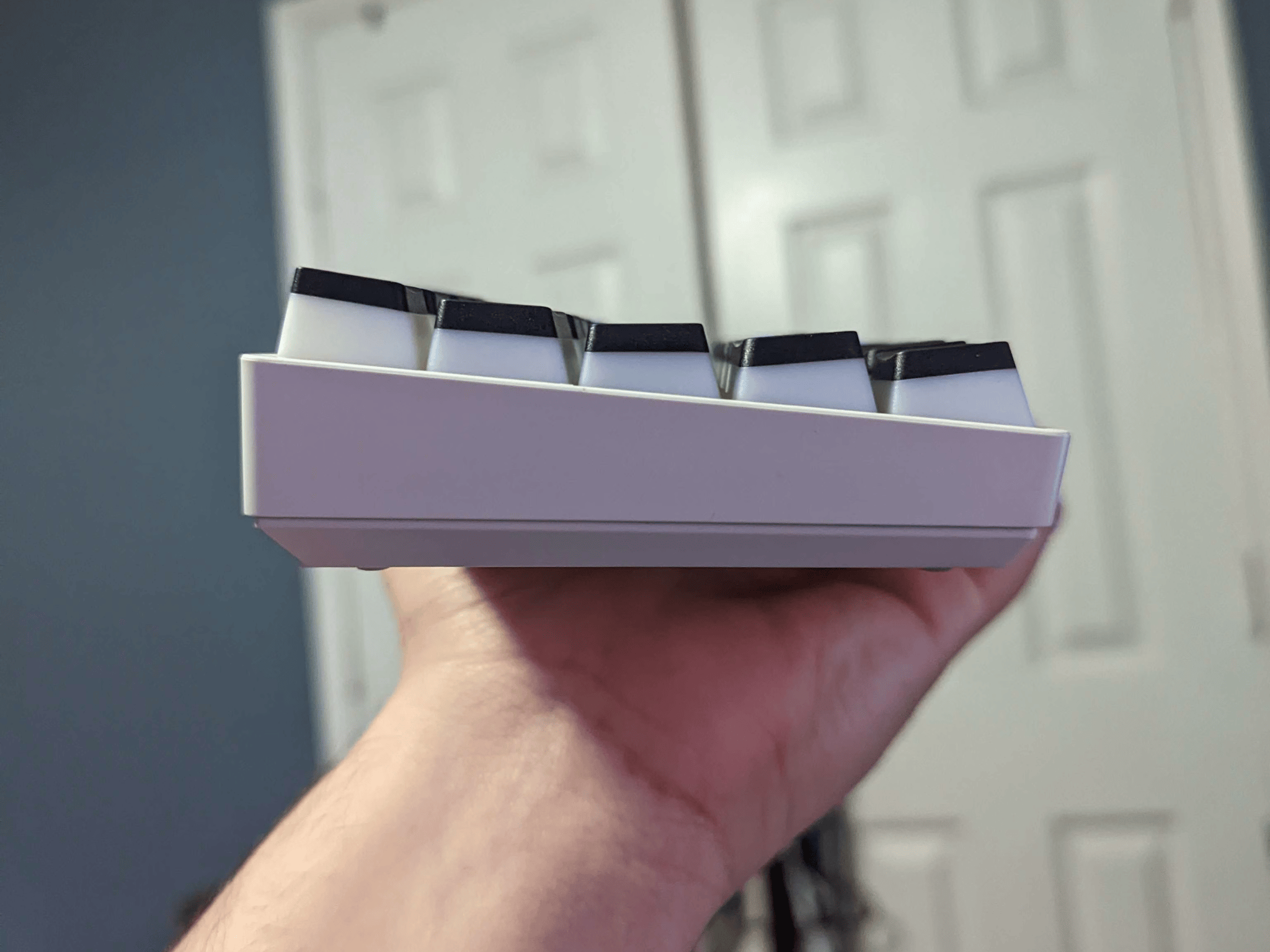 "Rainbow" Newman GM610