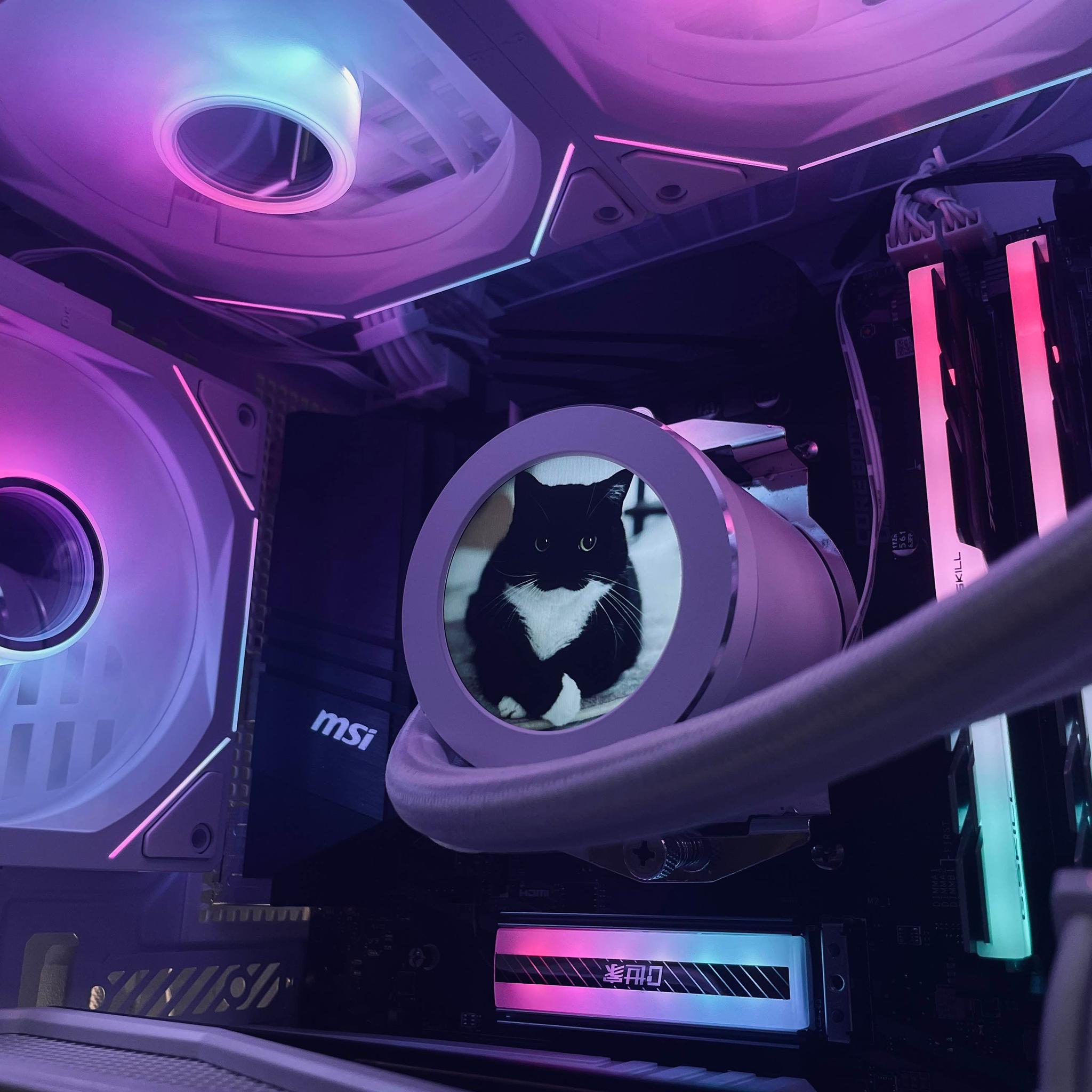 ☁️ Kumo [雲] - 4K Powerhouse | RX 6900 XT, Ryzen 5700X