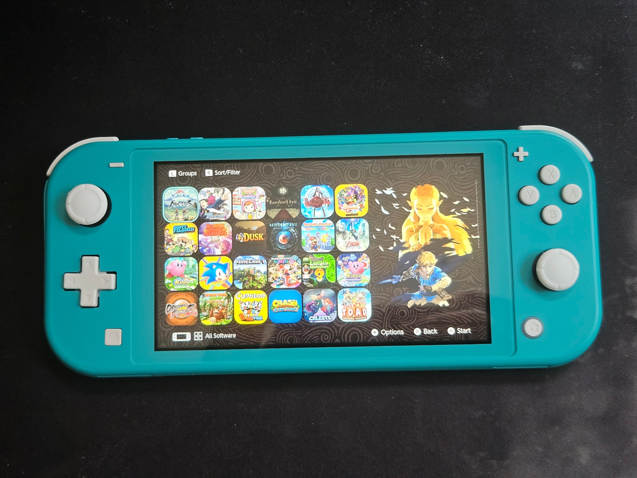 Modded Switch Lite with 256GB SD Card and Picofly