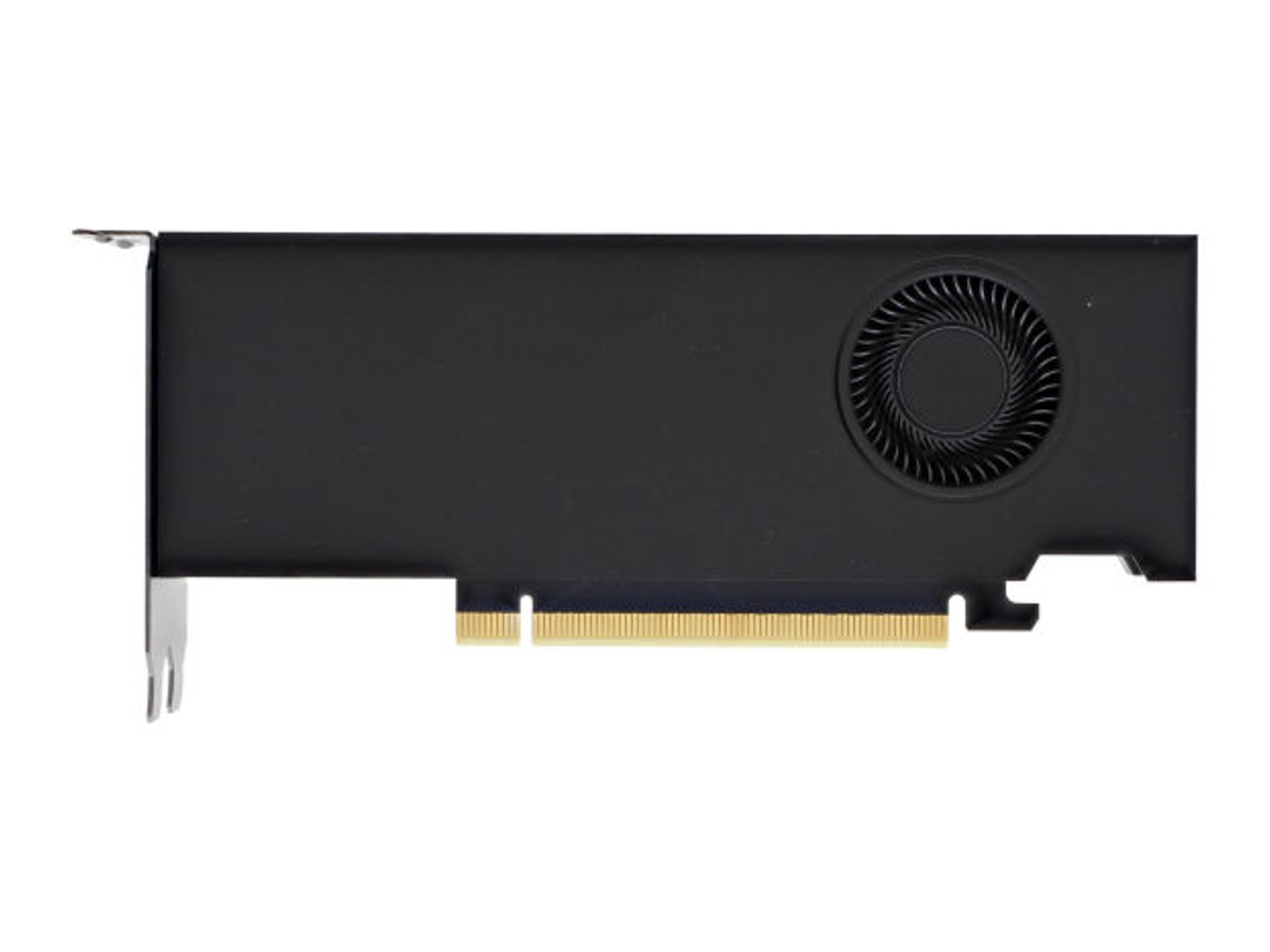 NVIDIA RTX 2000 16GB Graphics Card