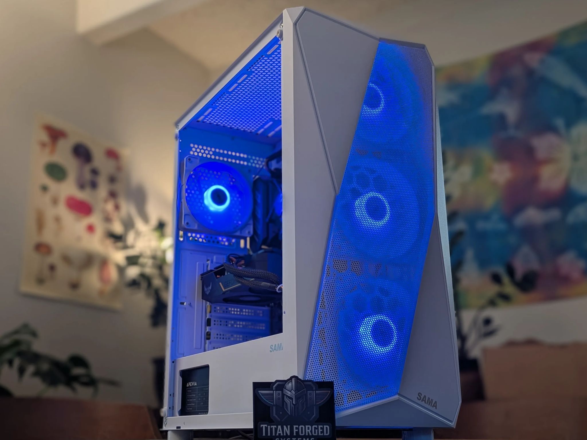 🛡️ BaxCalibur | 1660 Super | i3-9100 | Clean White Starter Build | 16GB DDR4 | 1TB NVMe