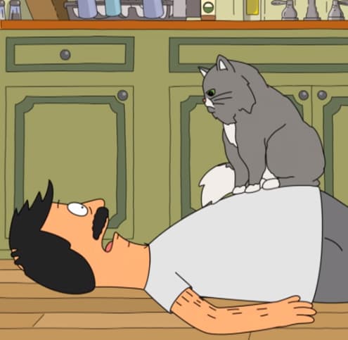ActualBobCat