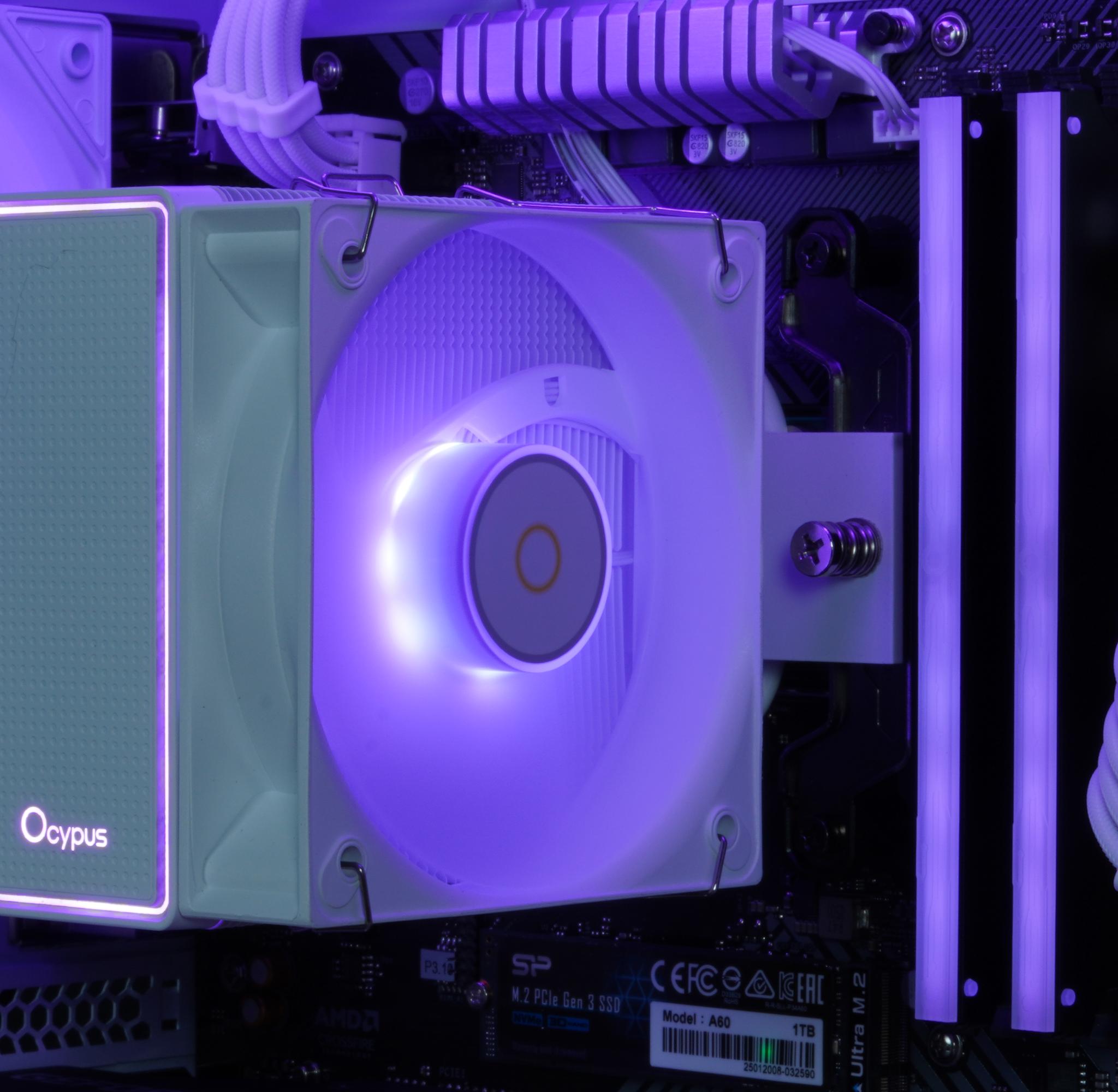 🟪Gamma |RTX 3060, Ryzen 5 5500, 32GB DDR4 RAM, 1TB SSD w/ Wifi