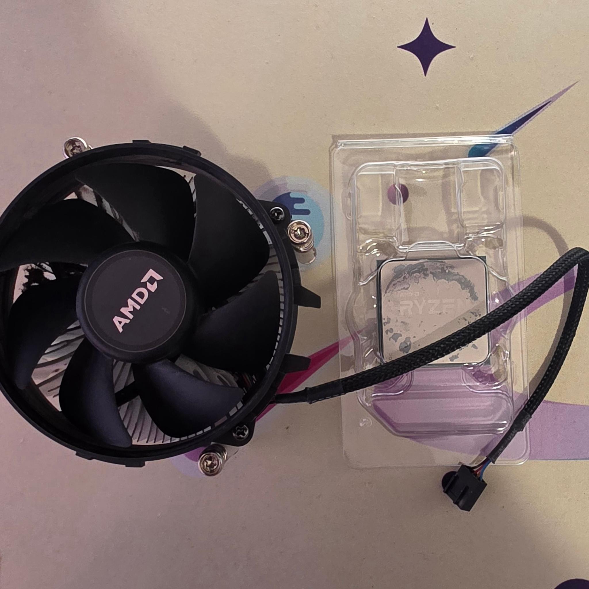 AMD Ryzen 5 5600G + cooler