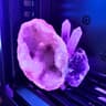 💎 Geode 🔮: RX 7900 XTX | Ryzen 9 7900X | 64GB DDR5 RAM | 2TB SSD | 8 RGB Fans | Black Gaming PC