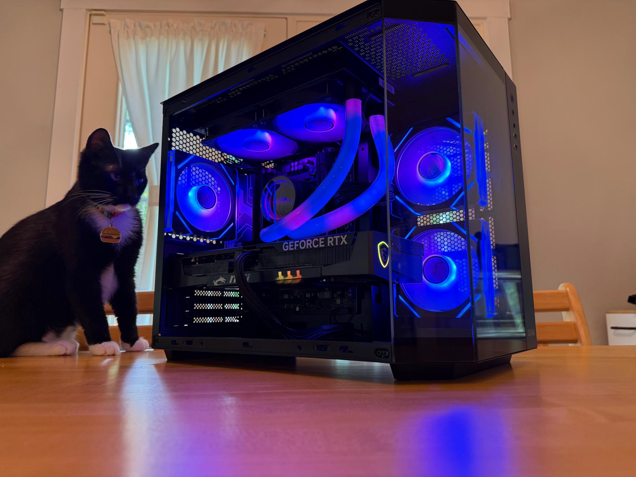 ⚫️🫘| RTX 5070 12gb, Ryzen 7 7700, 32gb DDR5, 1tb SSD WiFi Equipped ARGB Gaming PC!