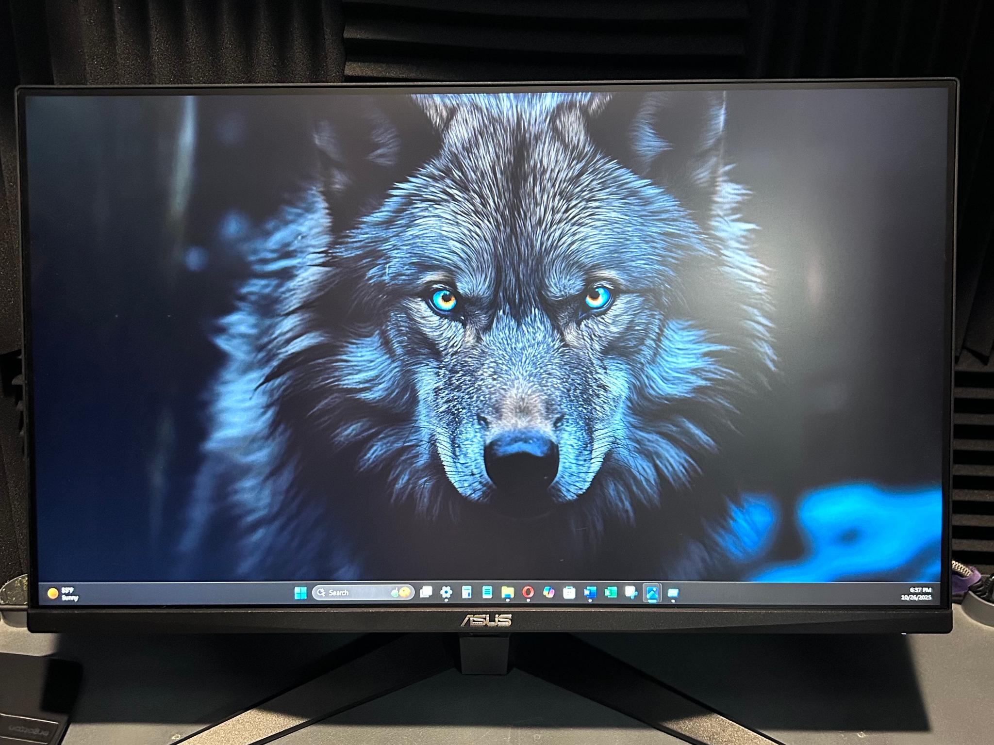ASUS TUF 27" (165Hz) Gaming Monitor (VG279Q1A)
