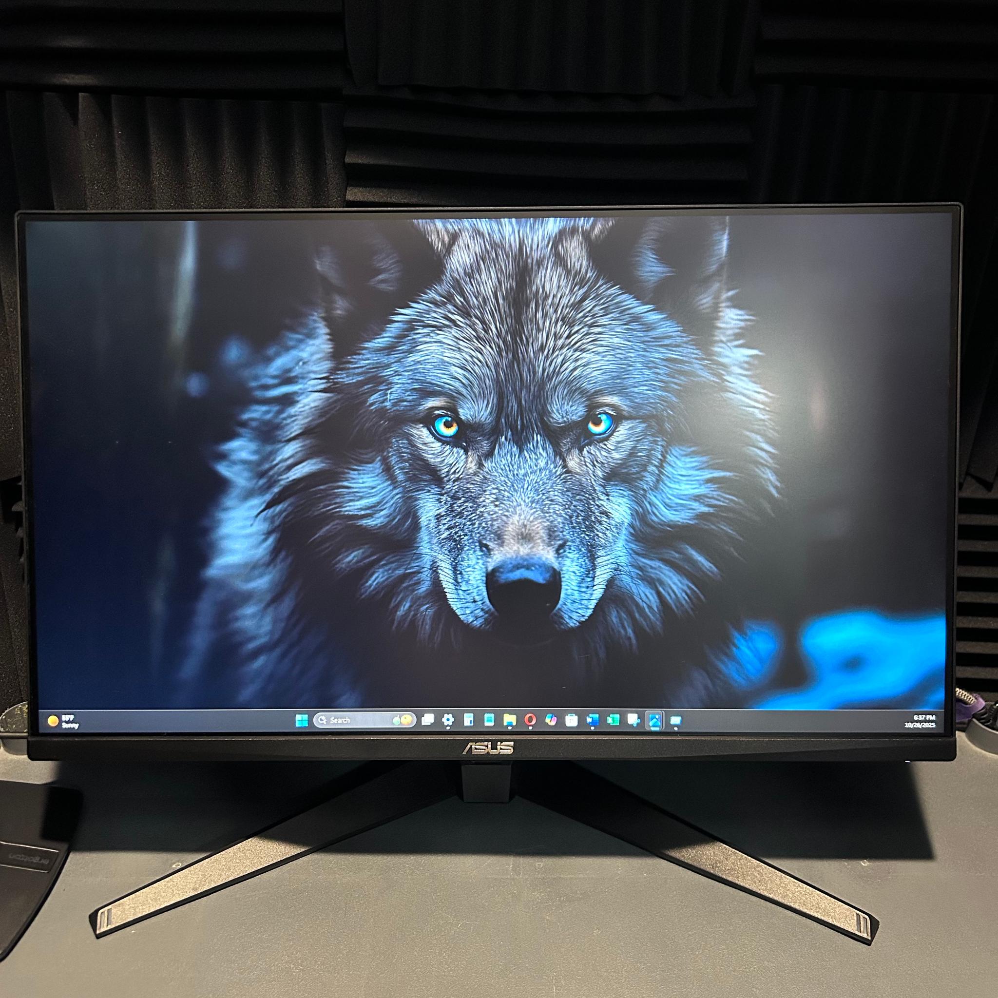 ASUS TUF 27" (165Hz) Gaming Monitor (VG279Q1A)
